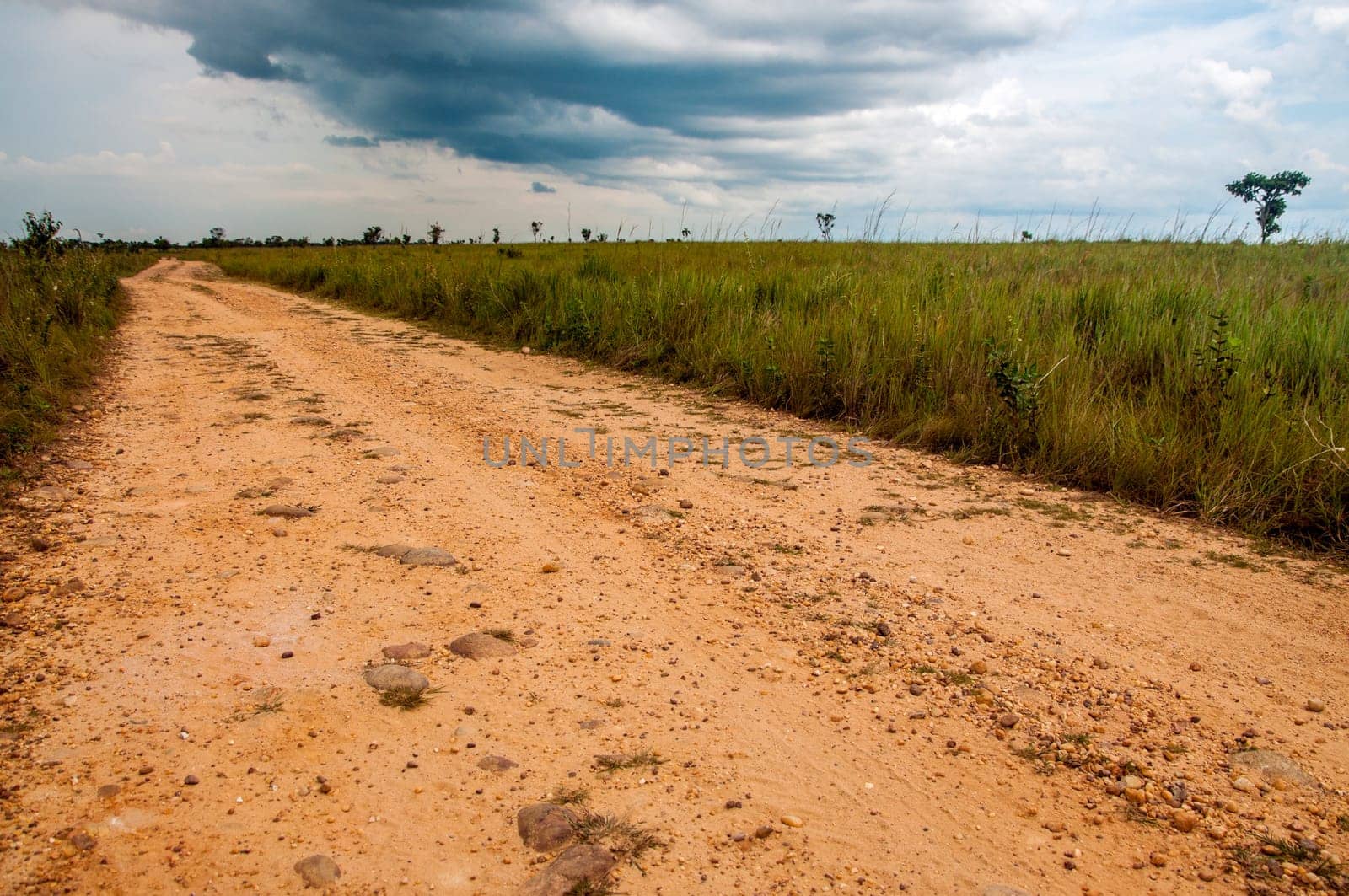 A dirt road built by FARC rebels in the Colombian plains