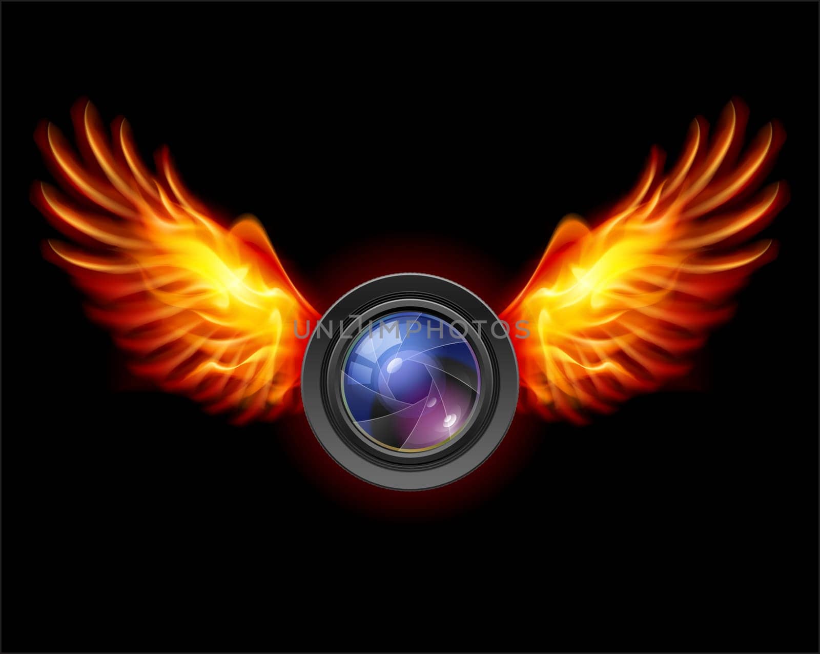 Focus-Fiery wings, a color illustration on a black background