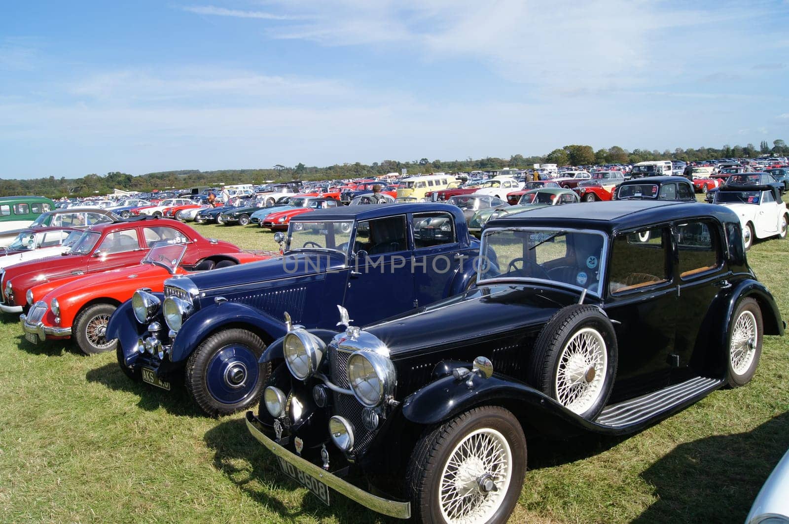 Classic sports cars including Avis, MG and Jaguar parked at the Goodwood Revival