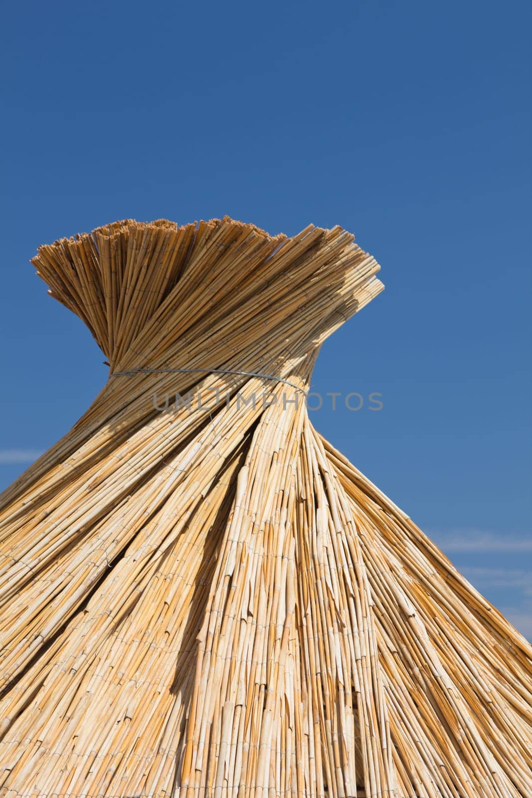 Beach umbrella on the beach