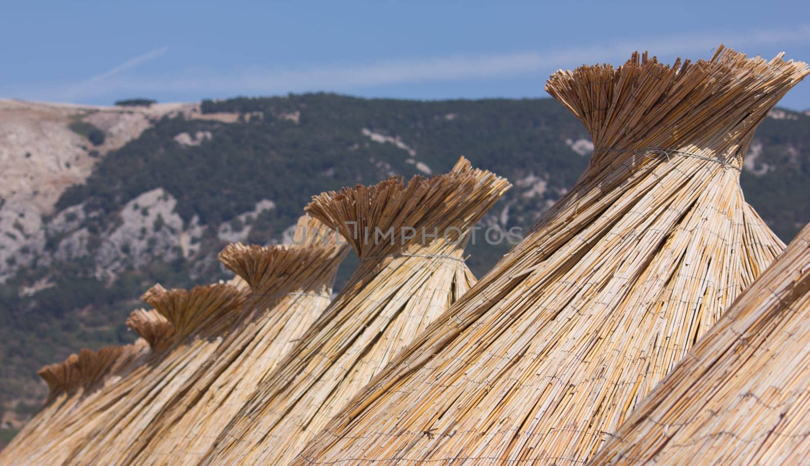 Beach umbrella on the beach