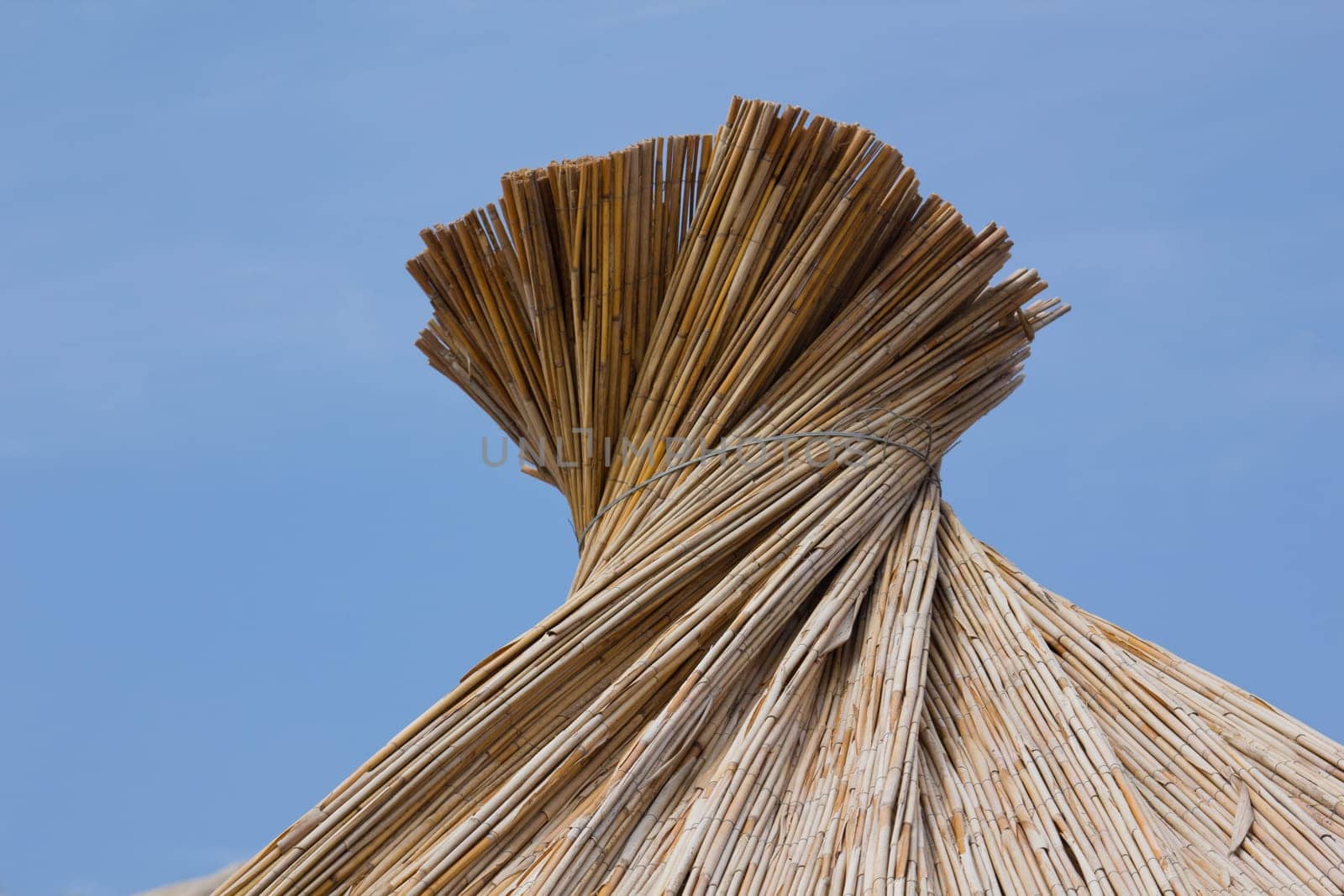 Beach umbrella on the beach