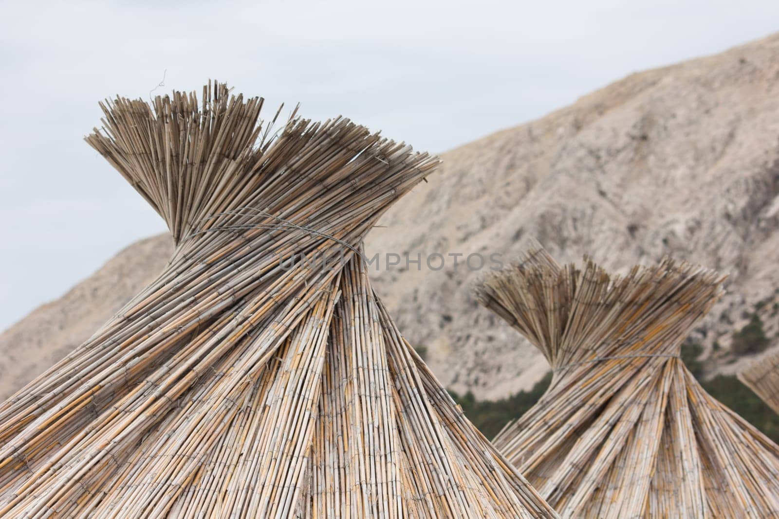 Beach umbrella on the beach