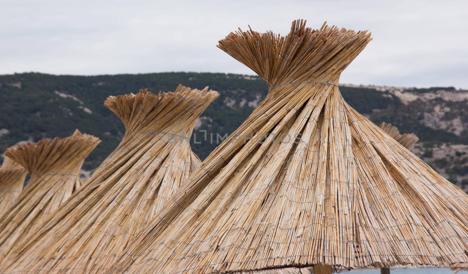 Beach umbrella on the beach