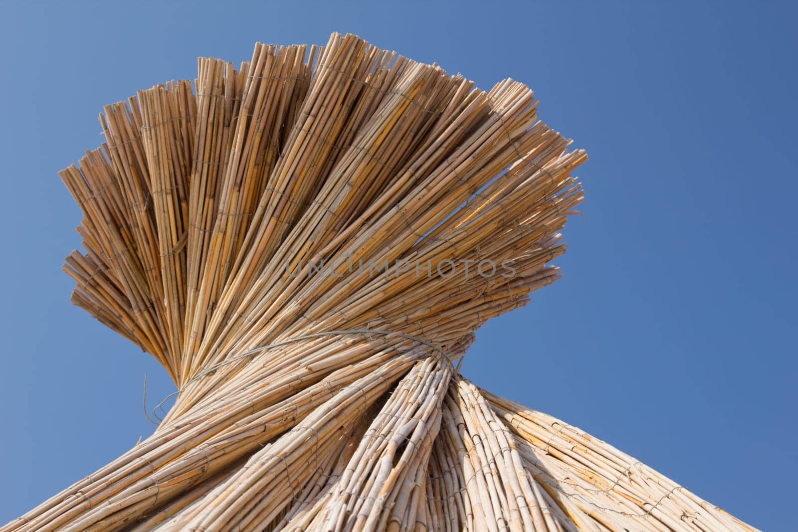 Beach umbrella on the beach