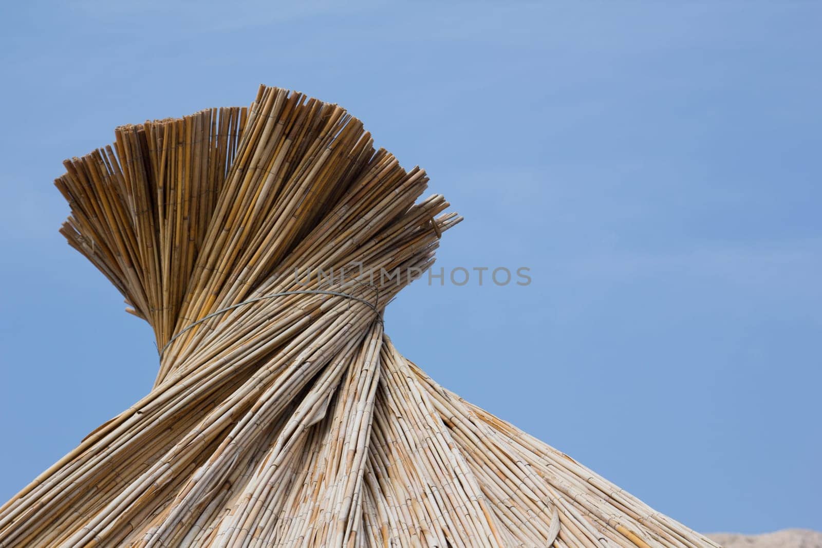 Beach umbrella on the beach