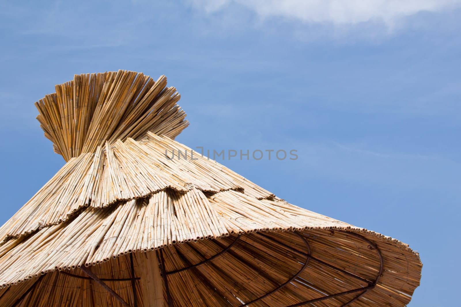 Beach umbrella on the beach