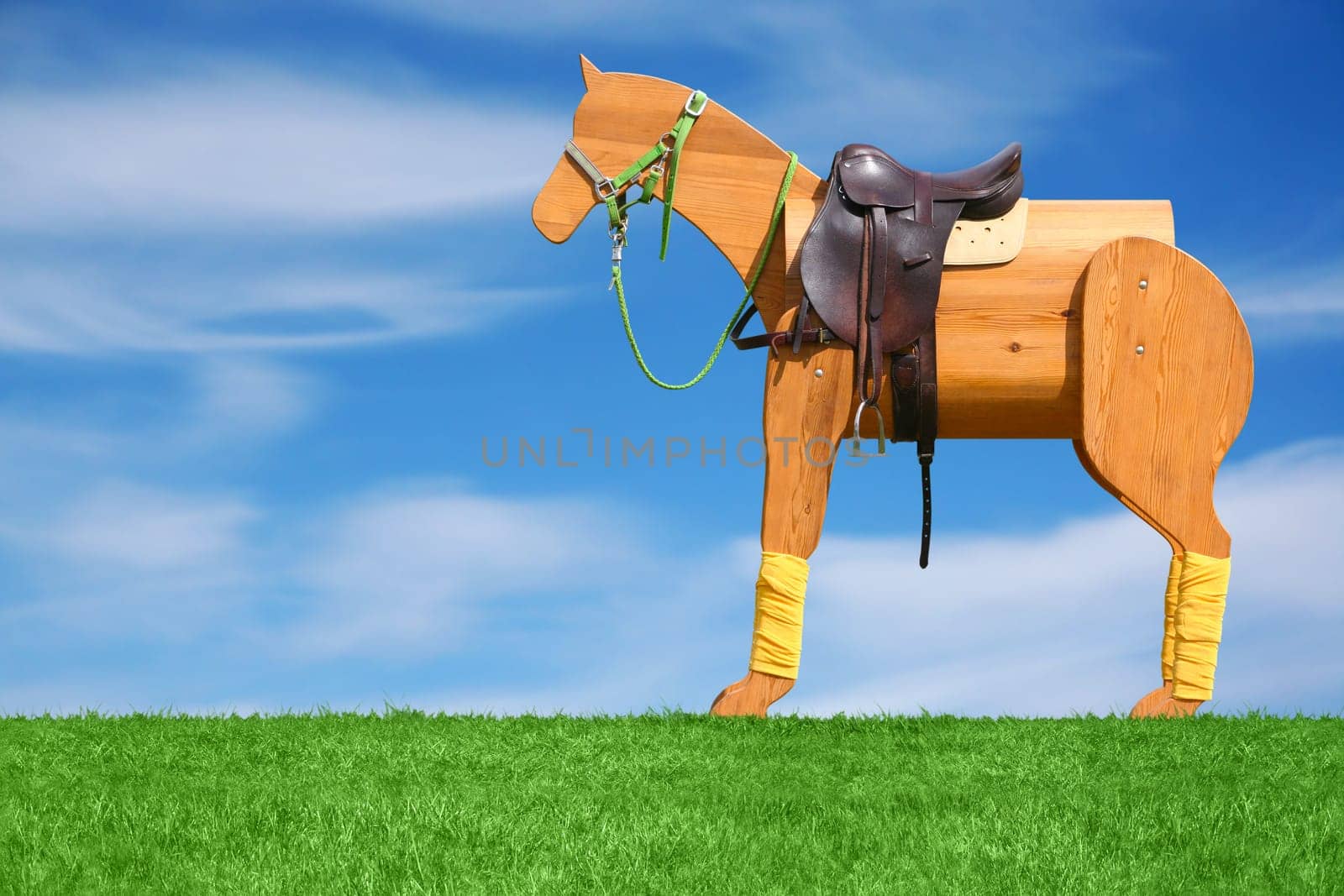 Wooden horse