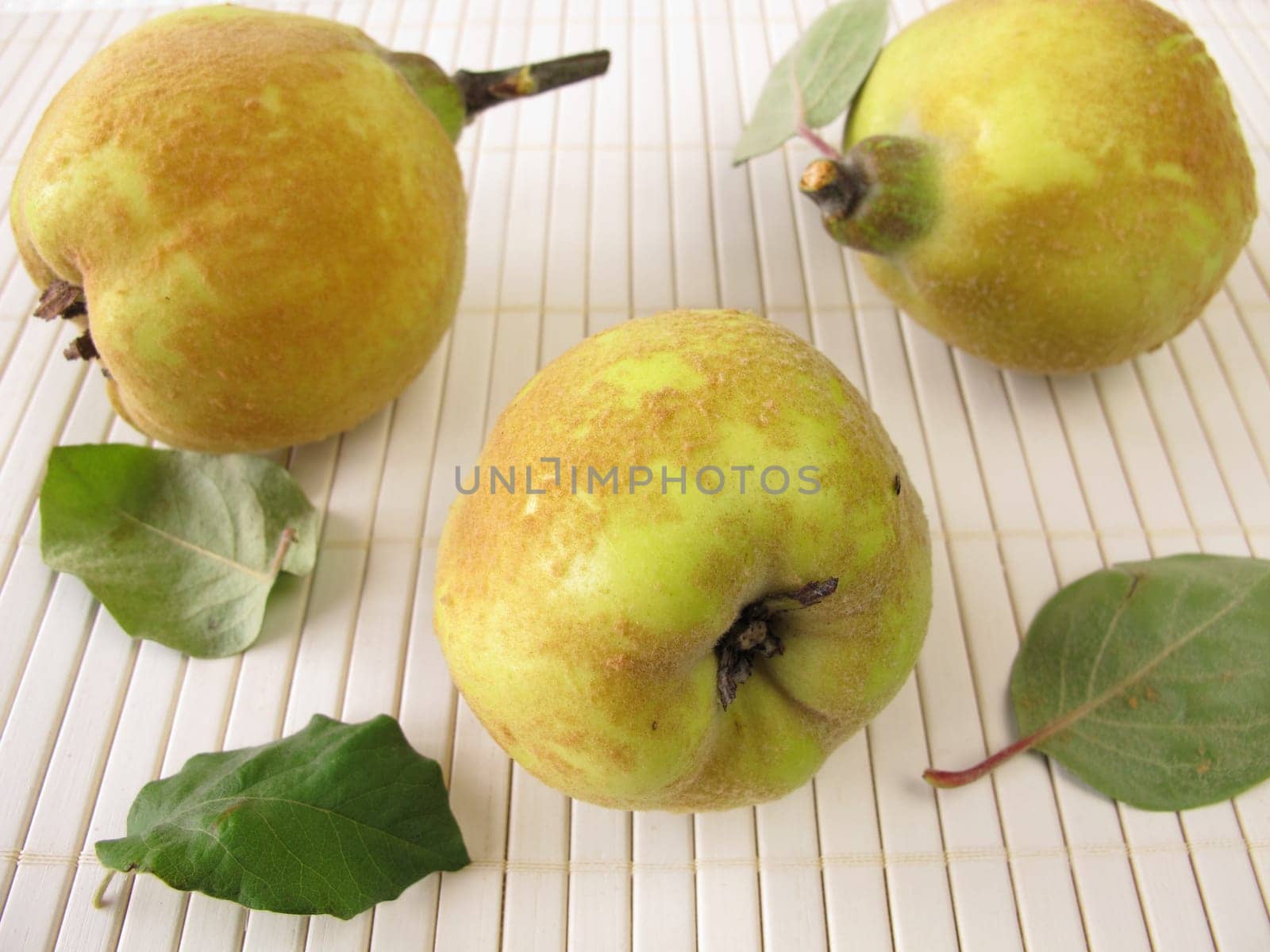 Quinces