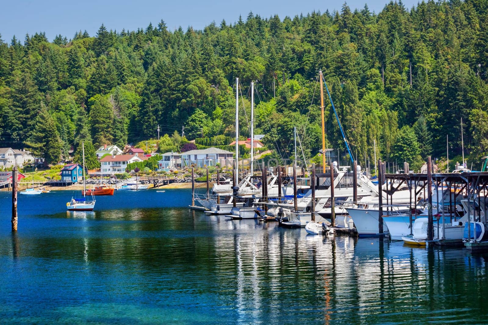 White Sailboats Marina Reflection, Gig Harbor, Pierce County, Washington State Pacific Northwest