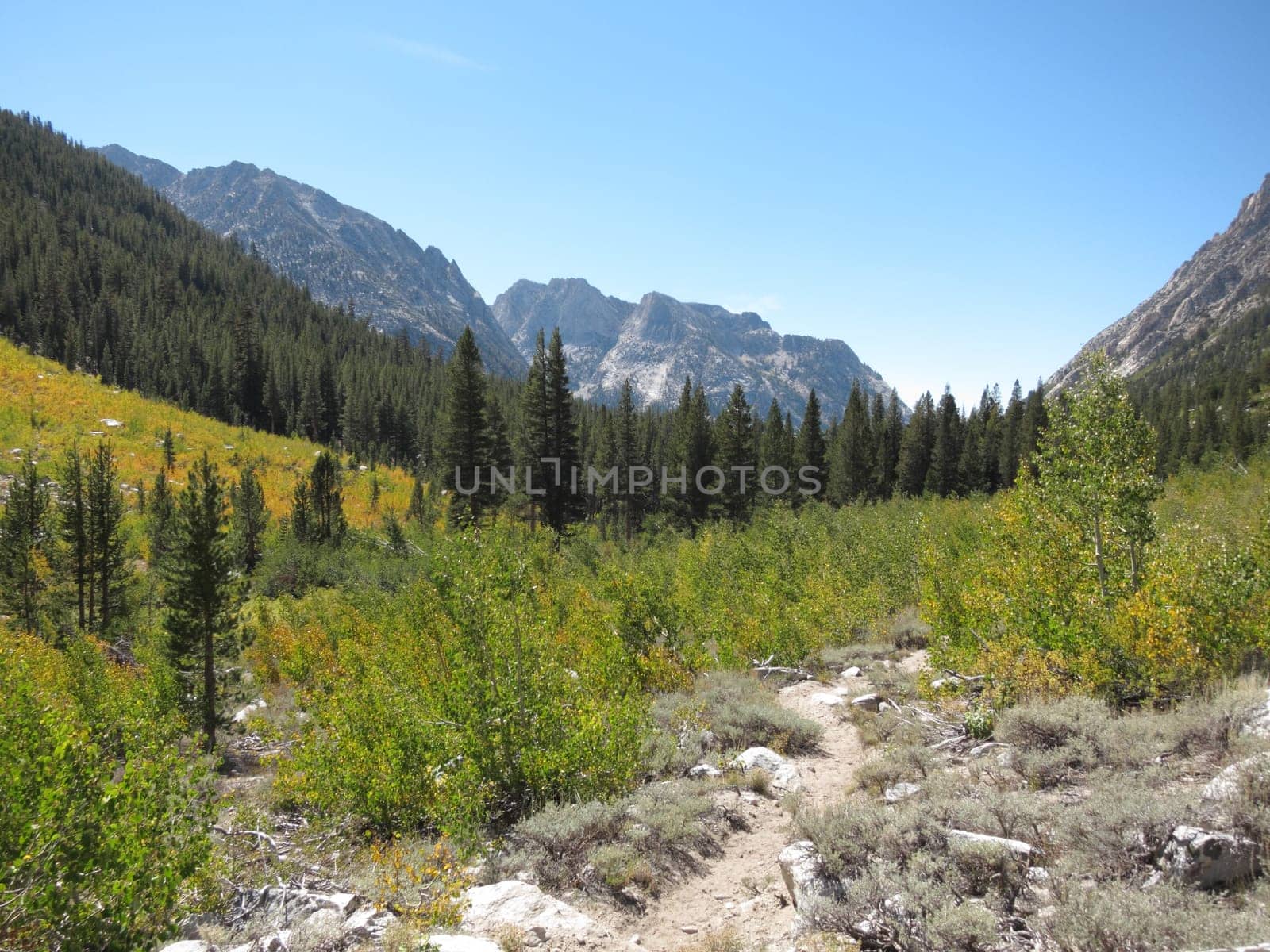 Beautiful view of Sierra mountains, California