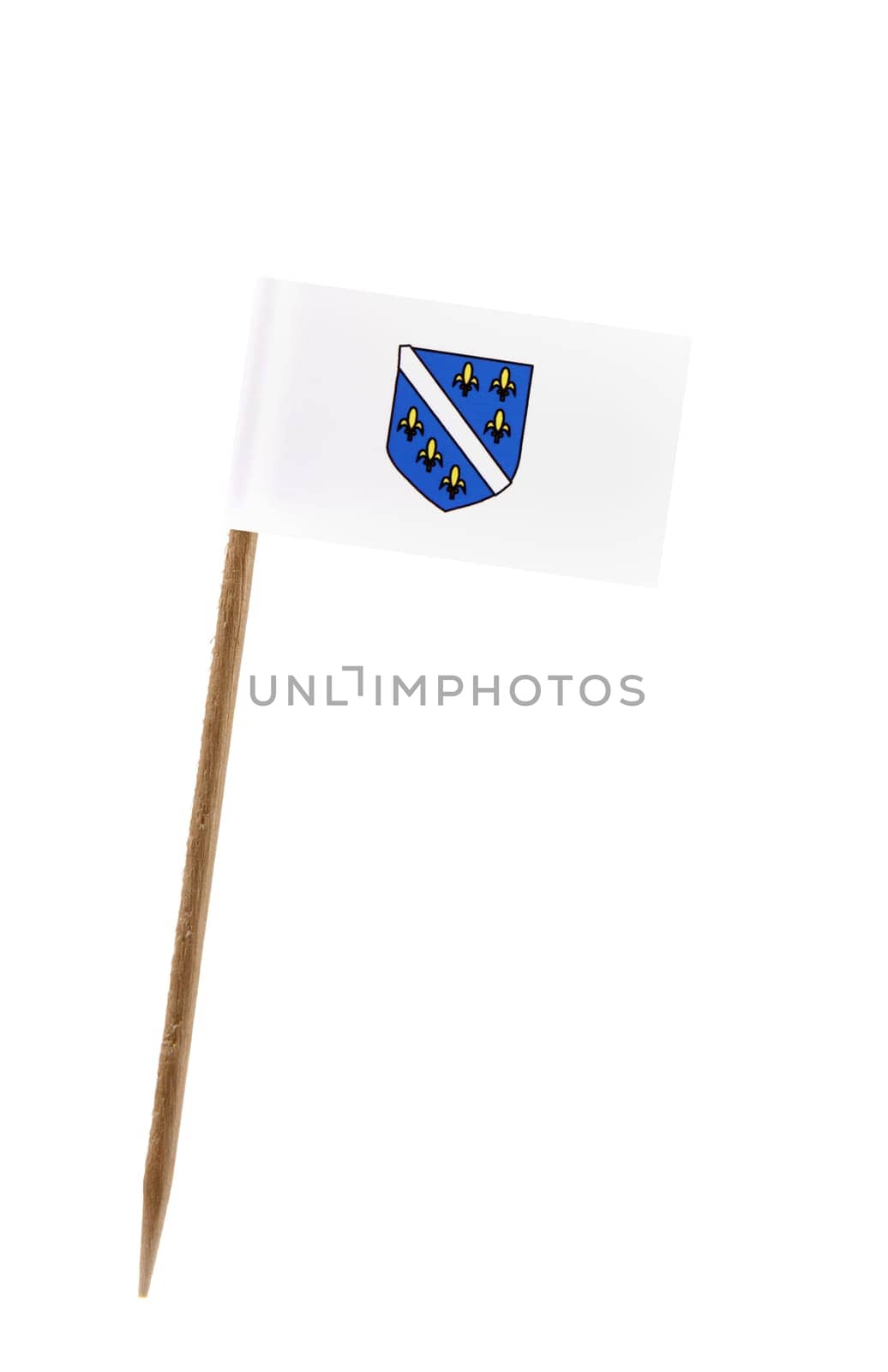 Tooth pick wit a small paper flag of Bosnia Herzegovina