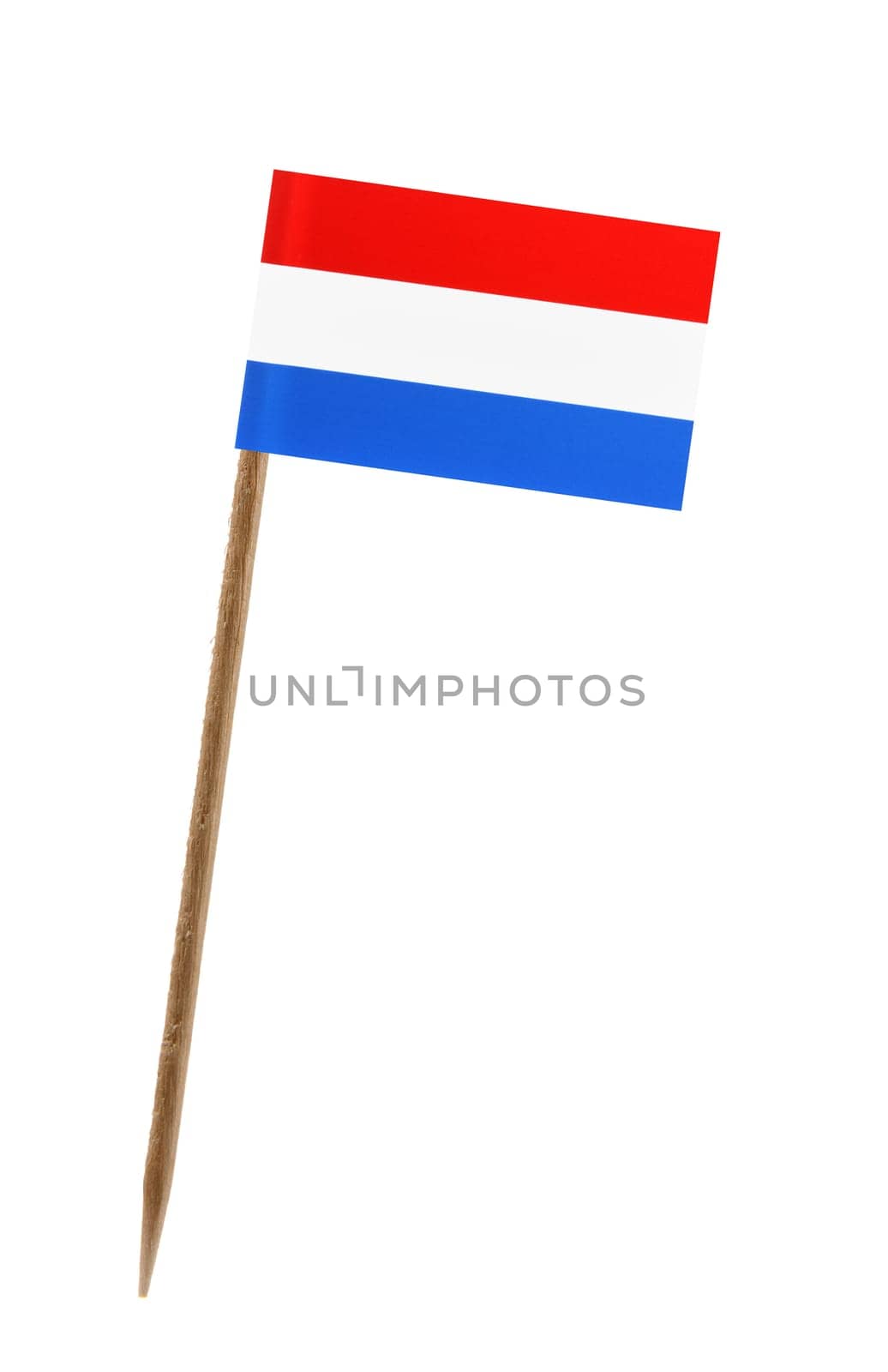 Tooth pick wit a small paper flag of Netherlands