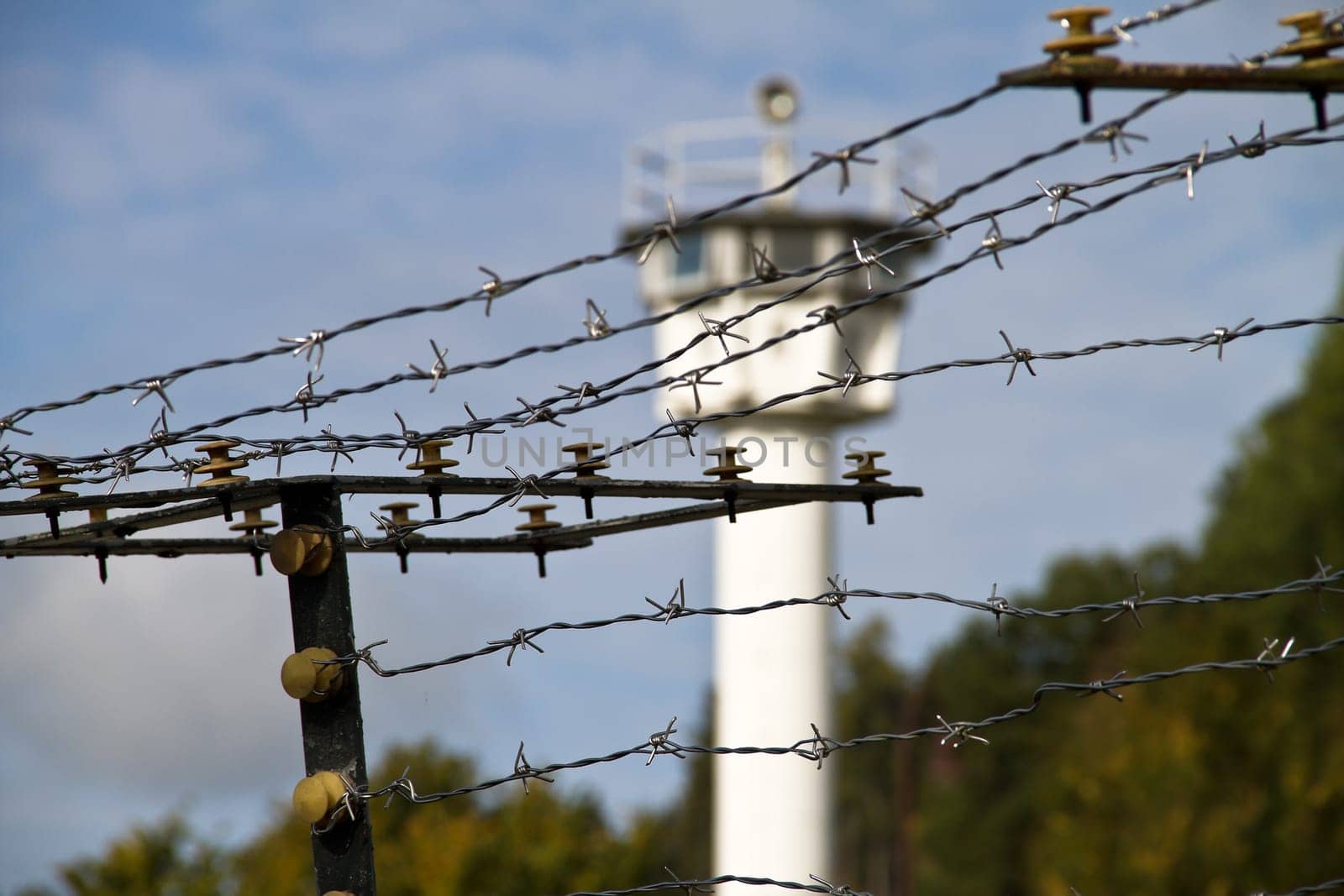 Barbed wire