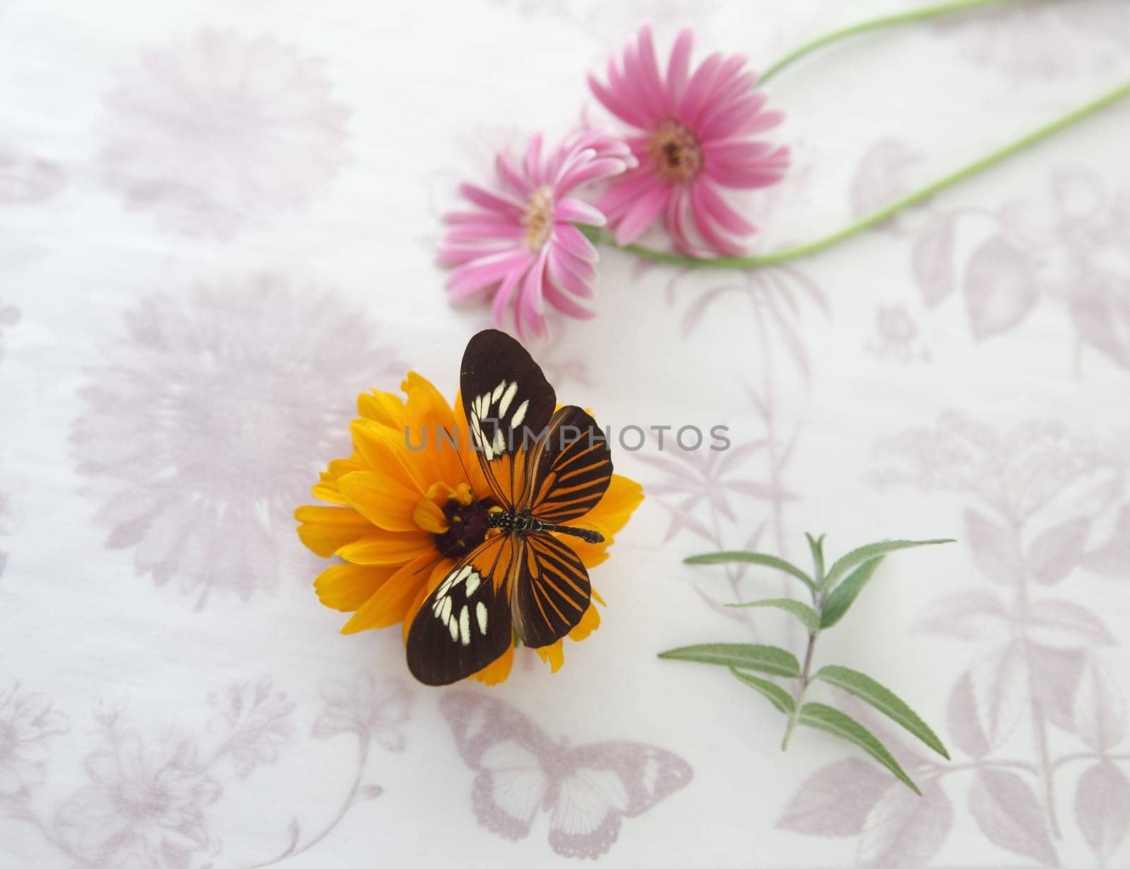 flowers on textured paper with butterfly