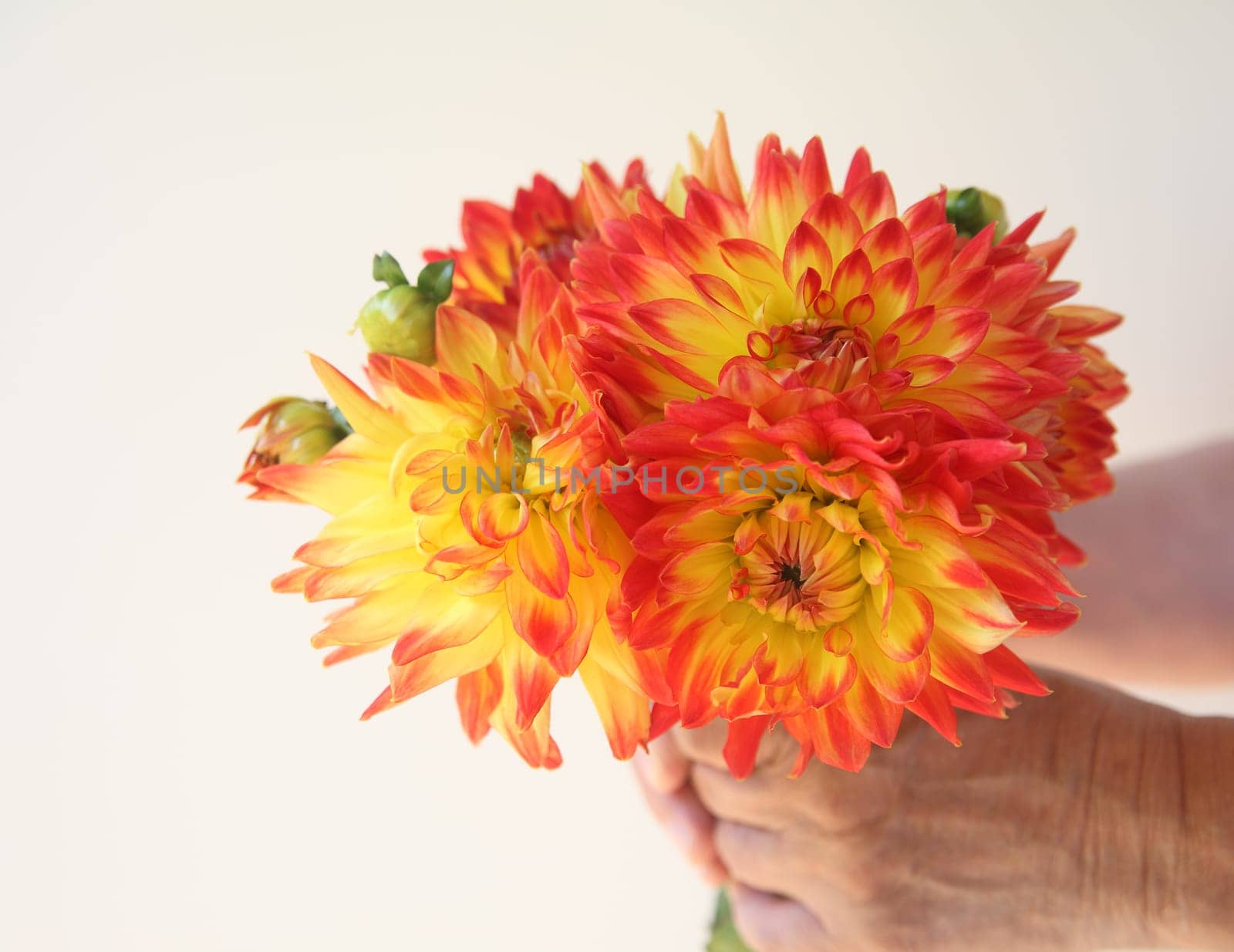man holds orange and yellow dahlia bouquet
