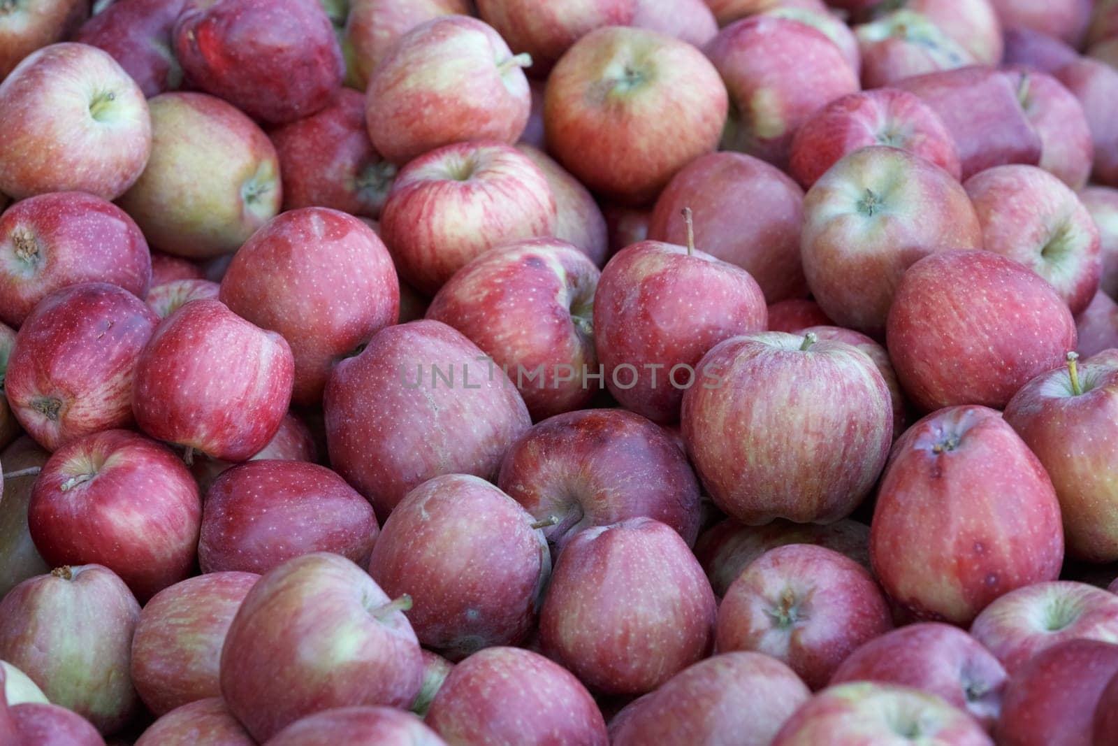 apple background