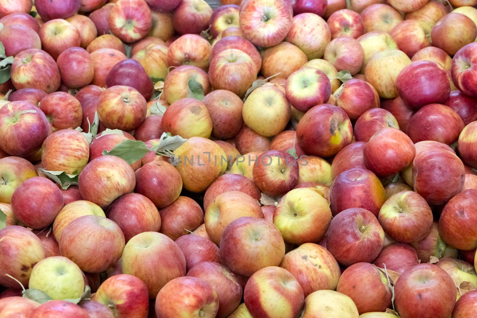 apple background