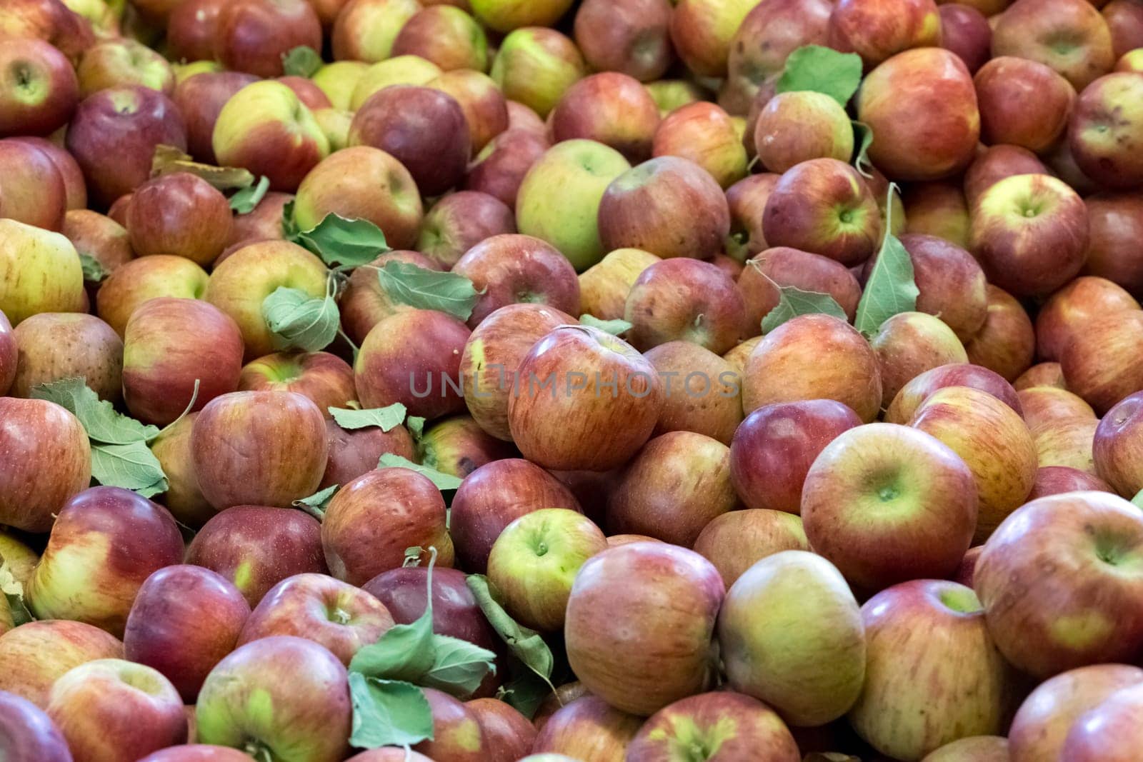 apple background
