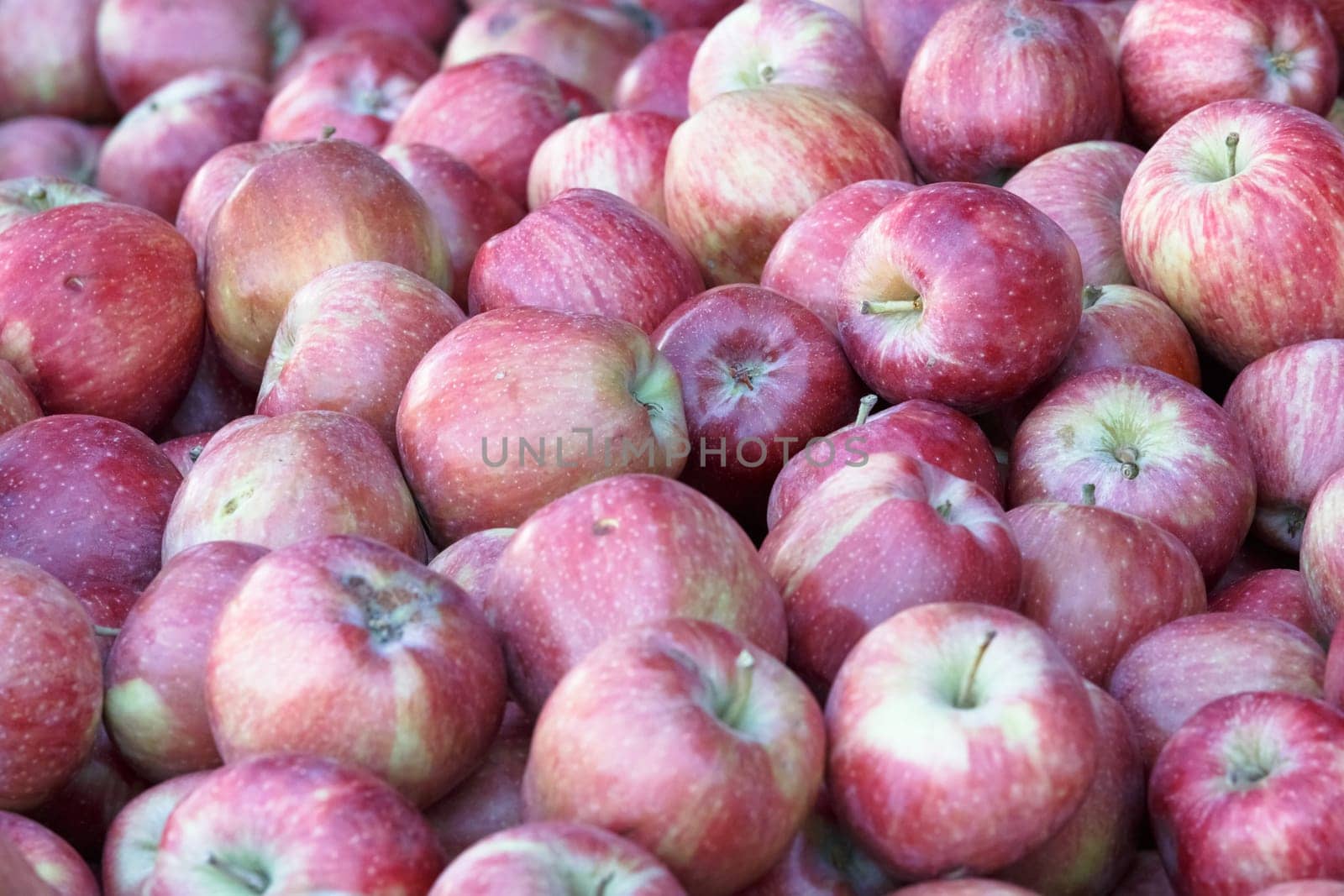 apple background