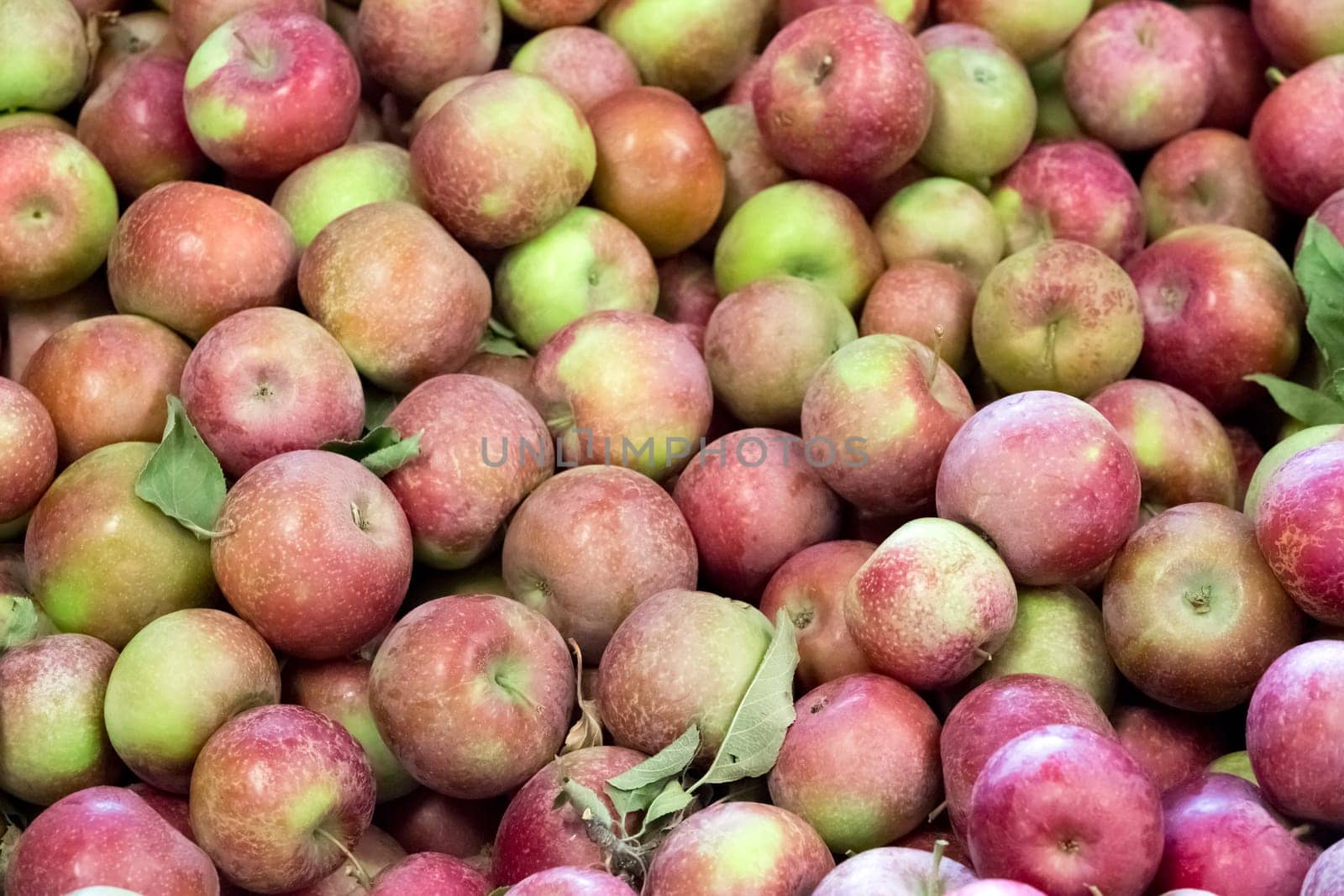 apple background