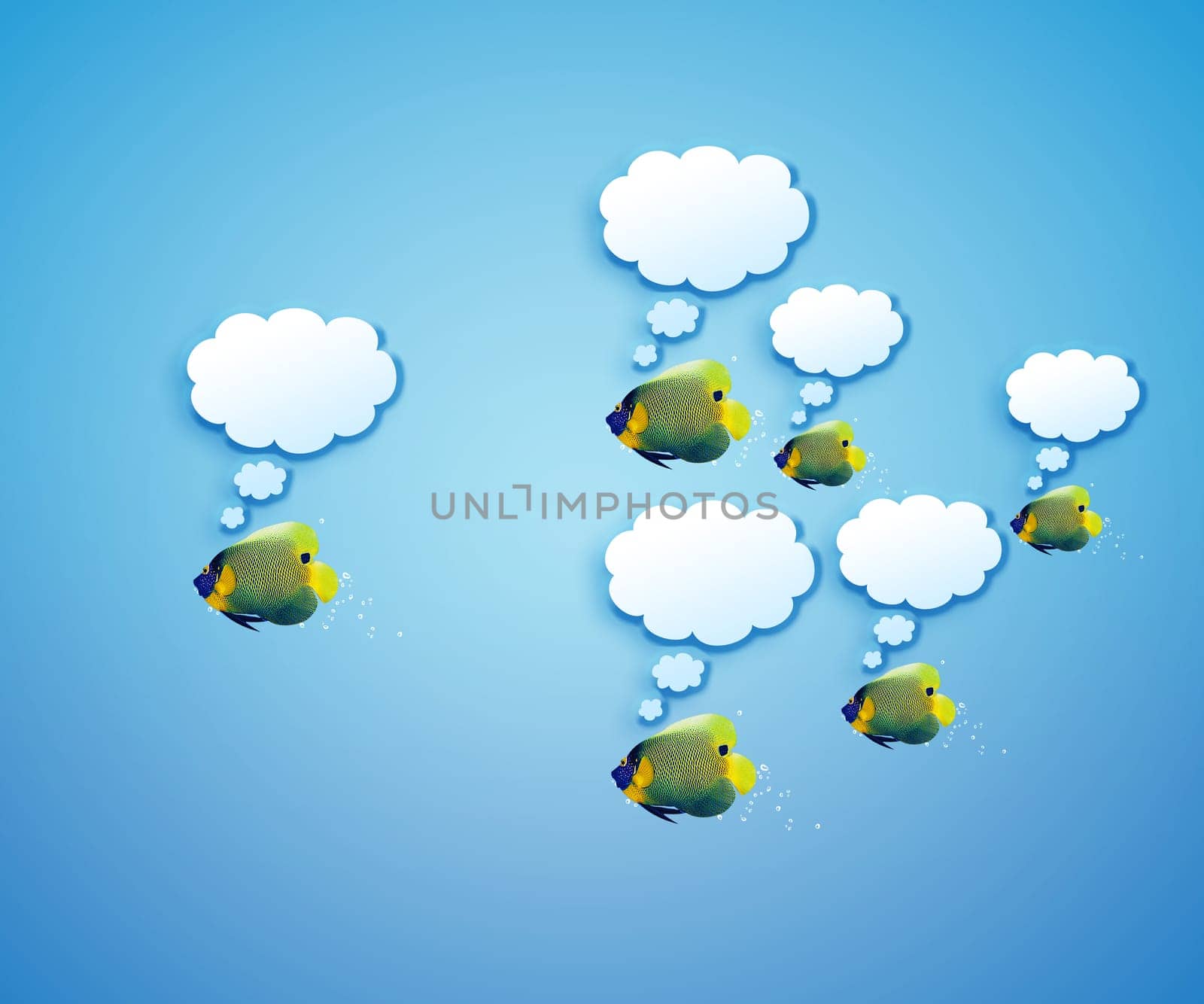 angelfish faces as social network with speech bubbles.