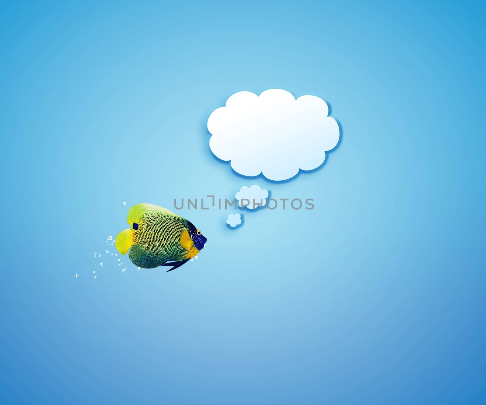 angelfish faces as social network with speech bubbles.