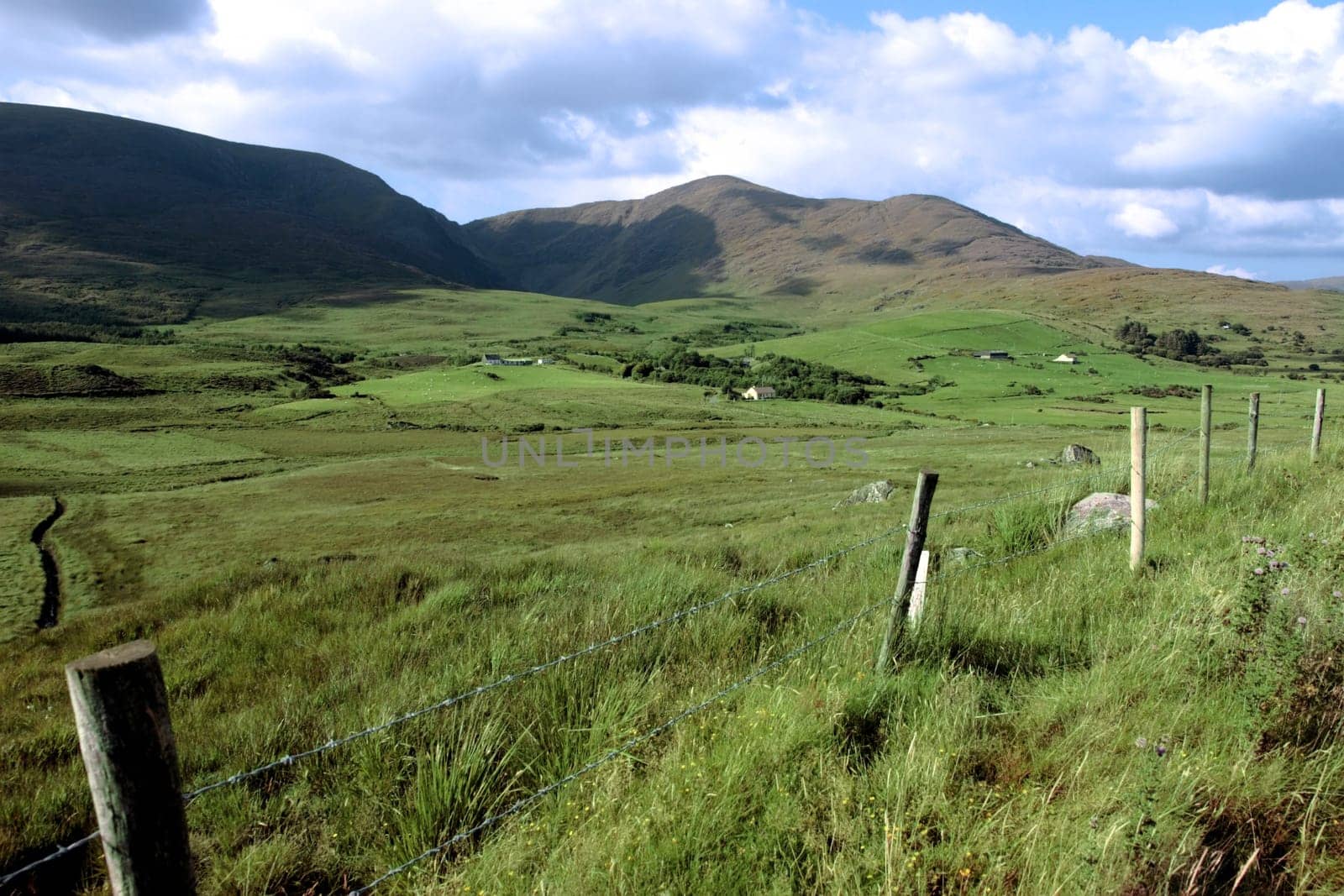 scenic view in kerry ireland of rural homes dotted in the green countryside