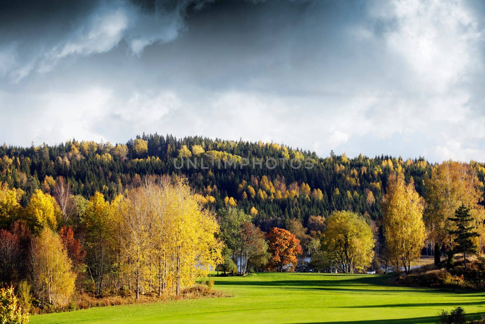 autumn colored landscape scenery, trees and forest in sweden