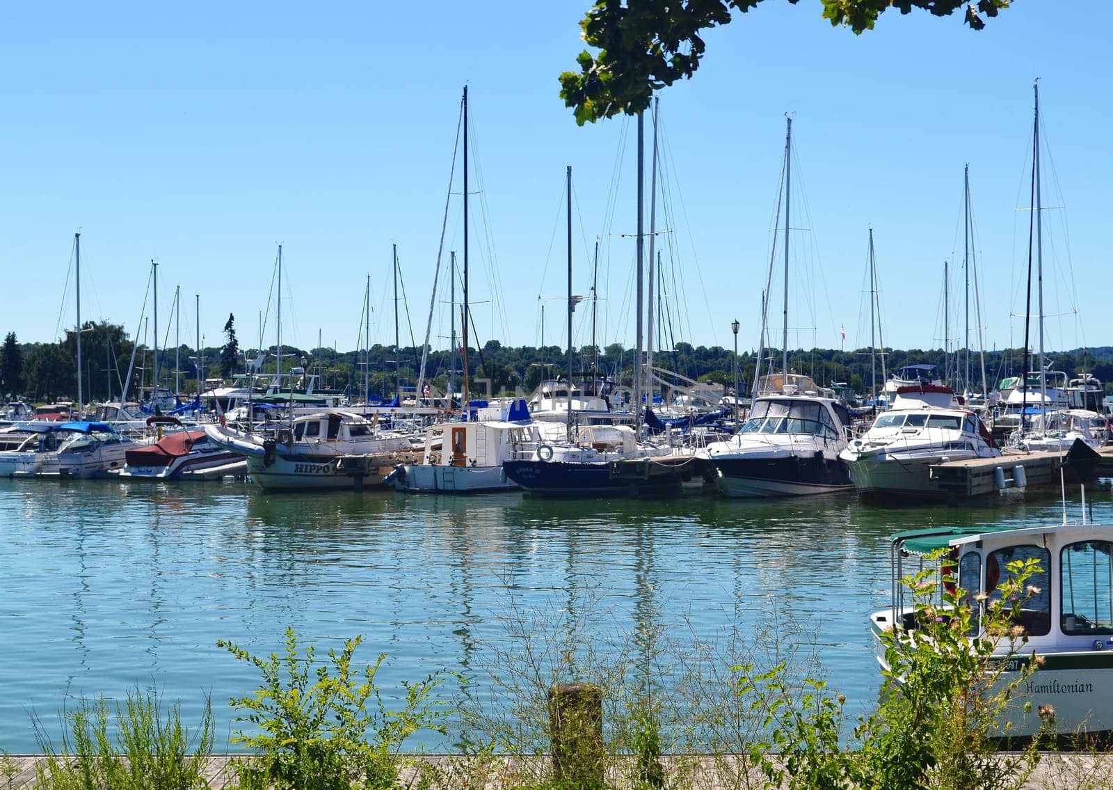 In the harbour of Hamilton, Ontario, Canada, anchoring sailboats on a nice sunny day under blue sky.