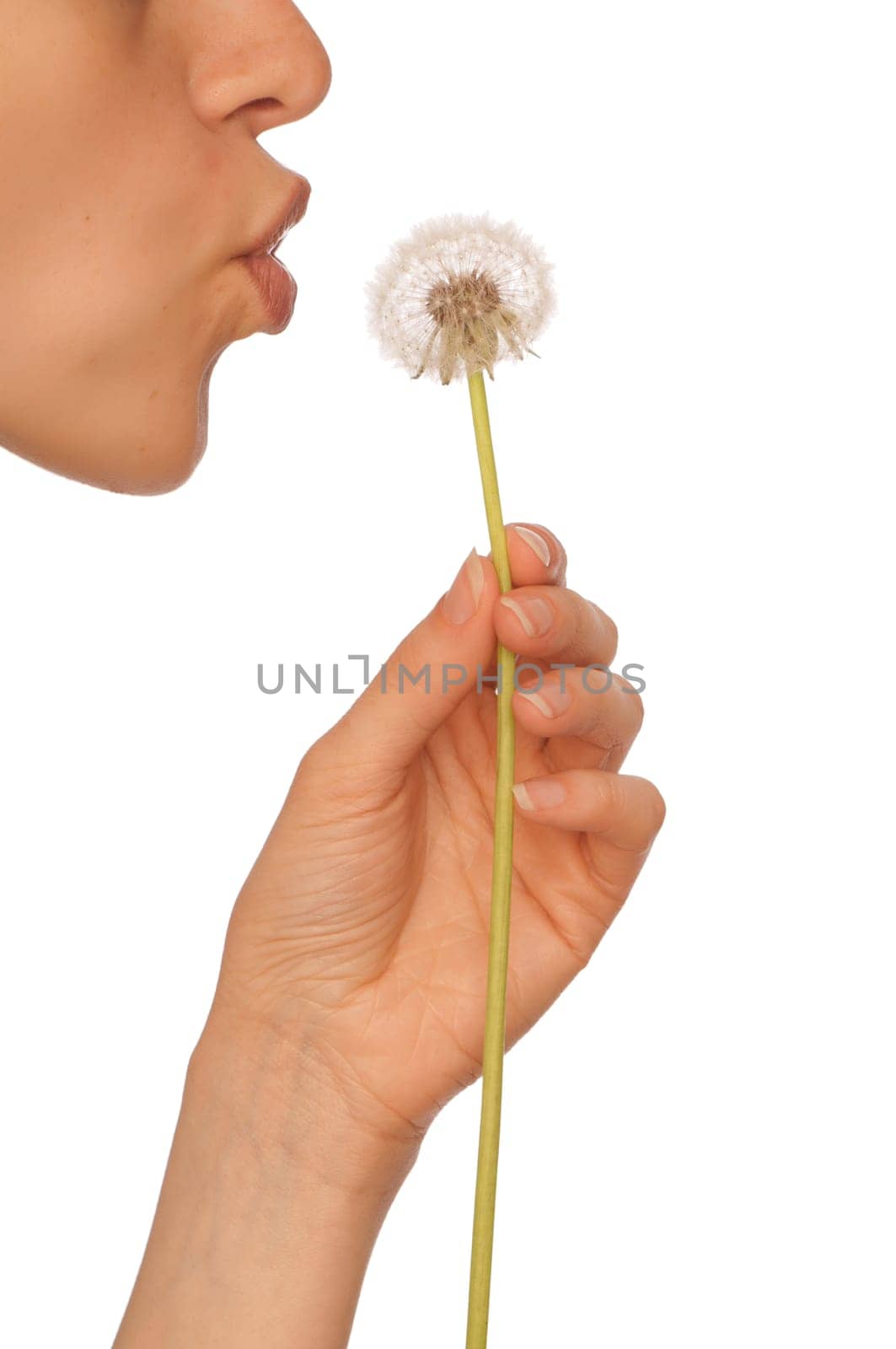 Woman holding a blowball in the hand