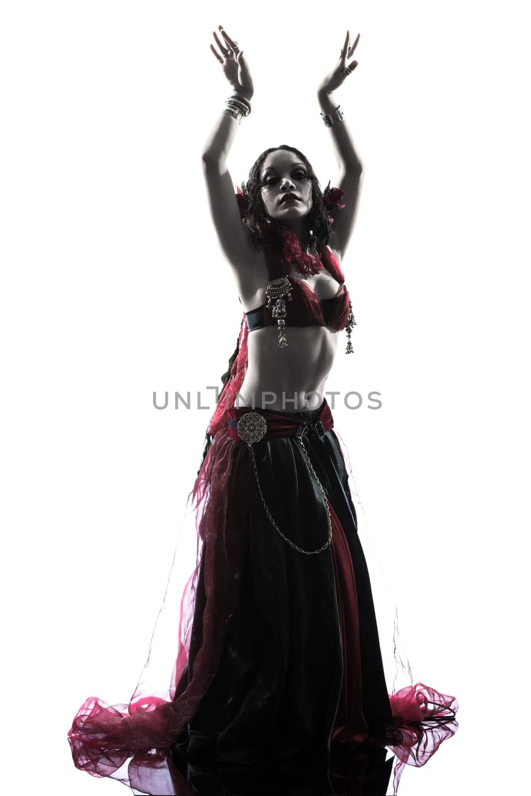 one arabic woman belly dancer dancing silhouette studio isolated on white background