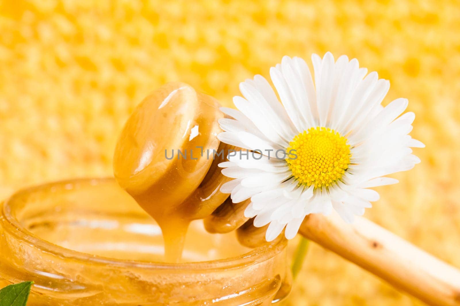 jar of honey on the background of honeycombs