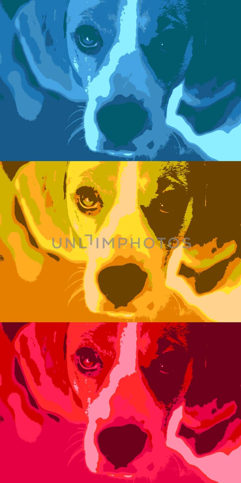 Pop art style illustration of a cute puppy.