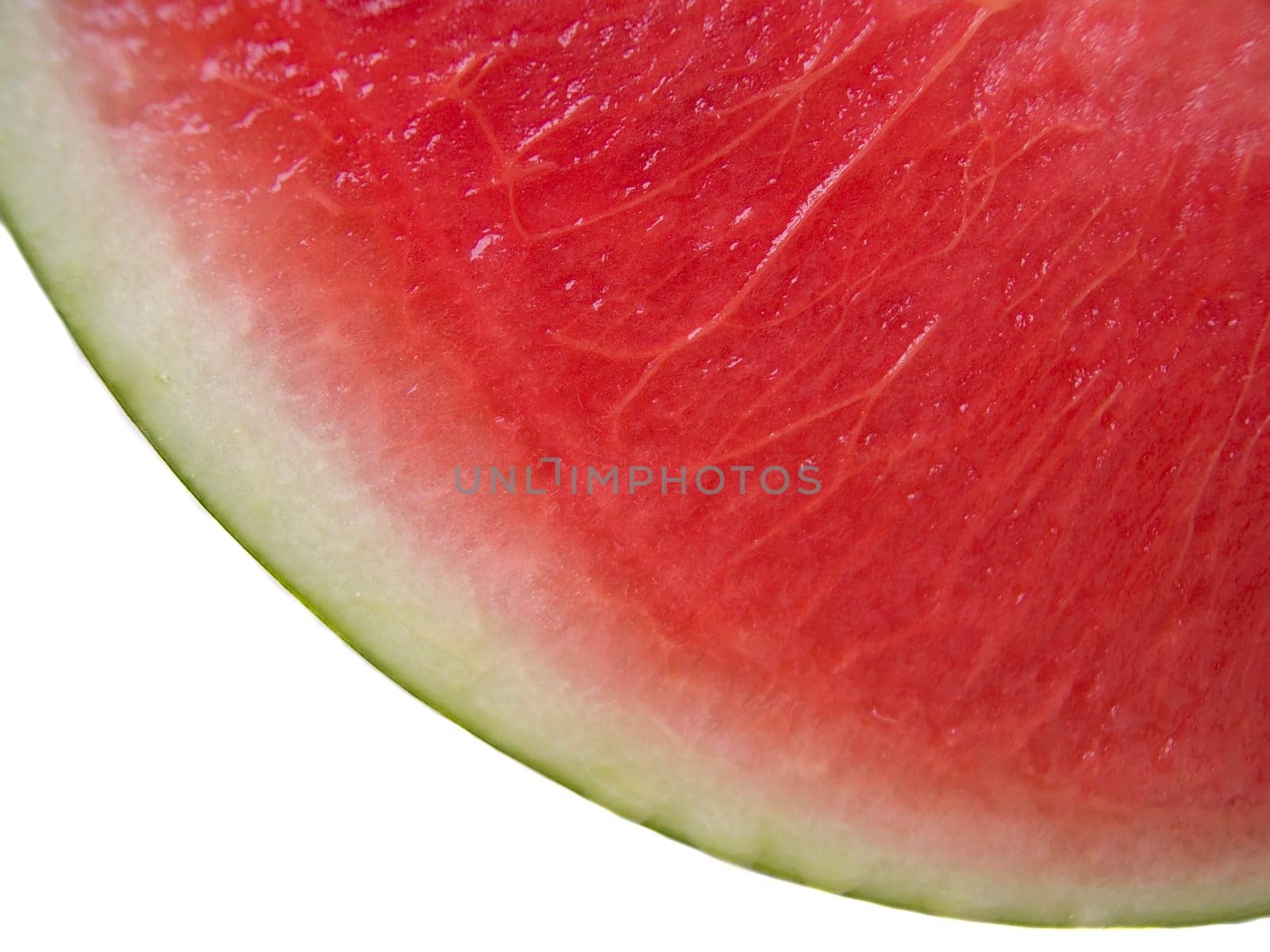 Melon 04