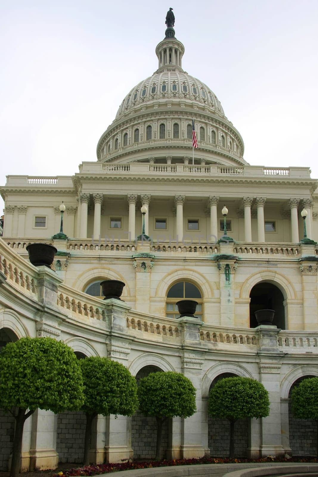 Portrait view of the Capitol Washington DC