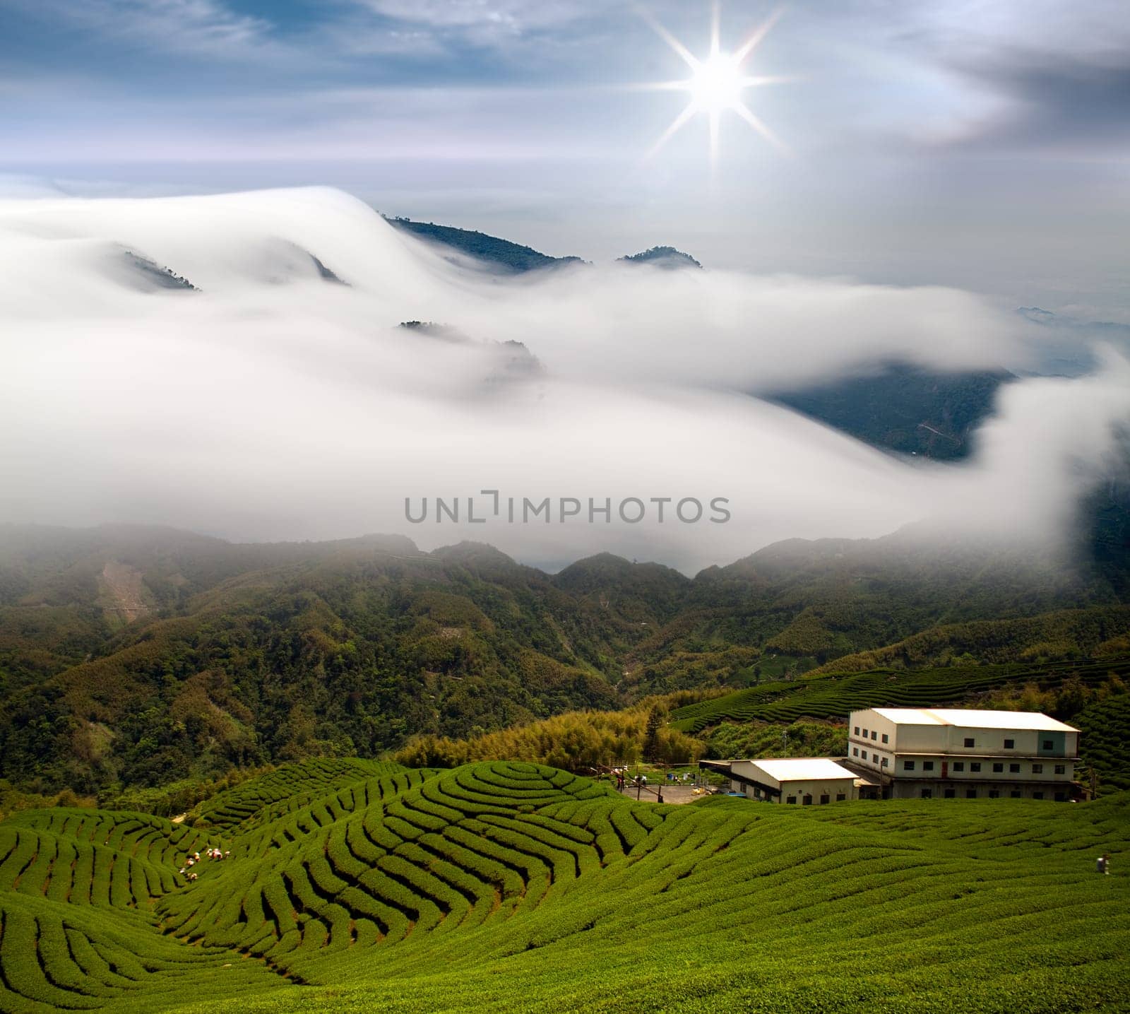 Amazing sunrise and mountain for adv or others purpose use