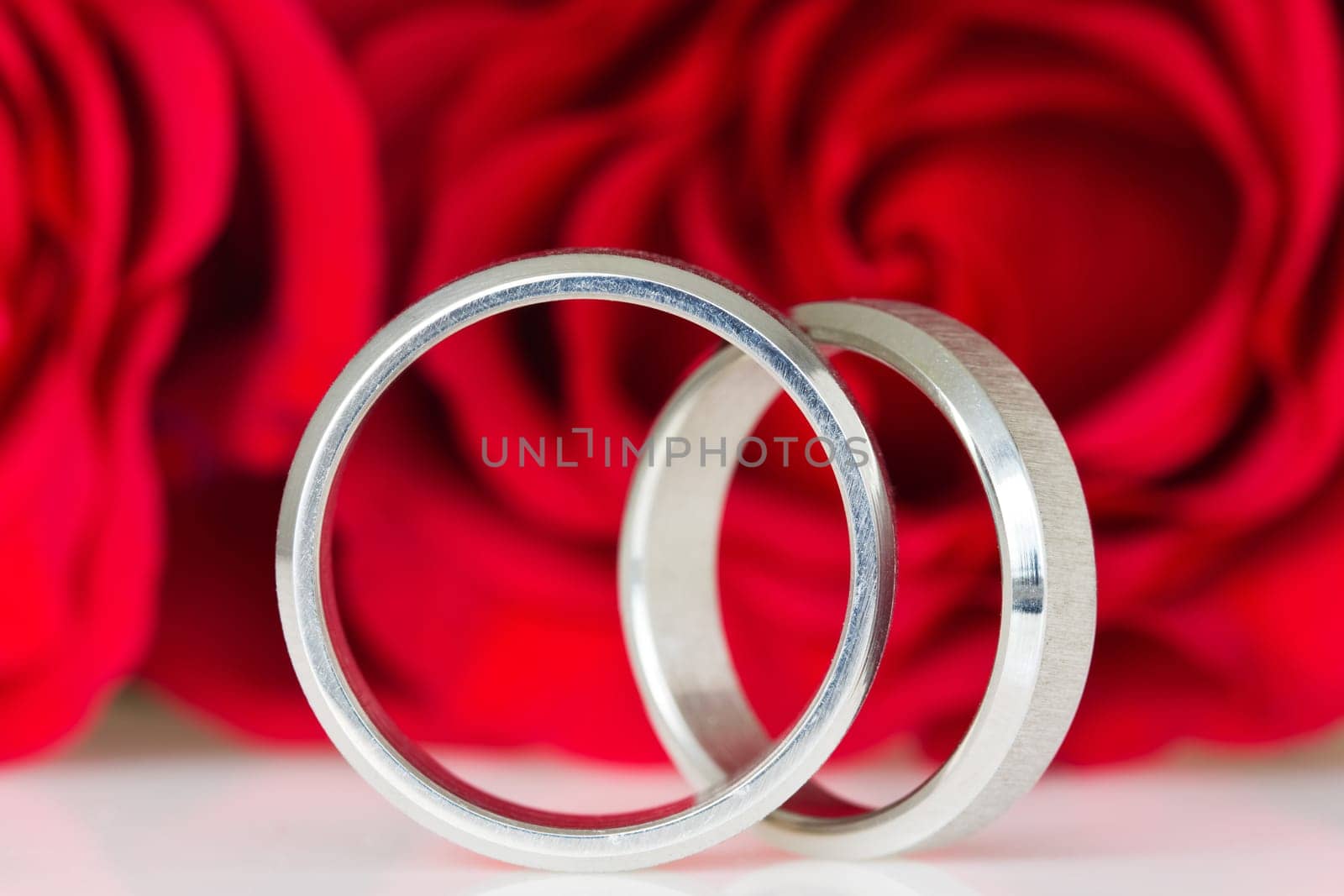 two silver rings with red roses in the background