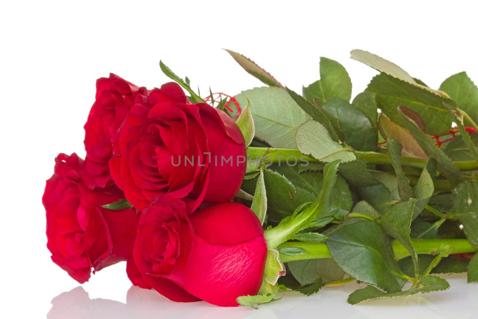 Bunch of red roses with reflection on white background