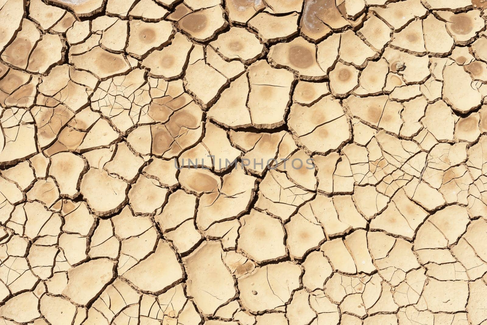 Detail of a cracked dry soil in water shortage time