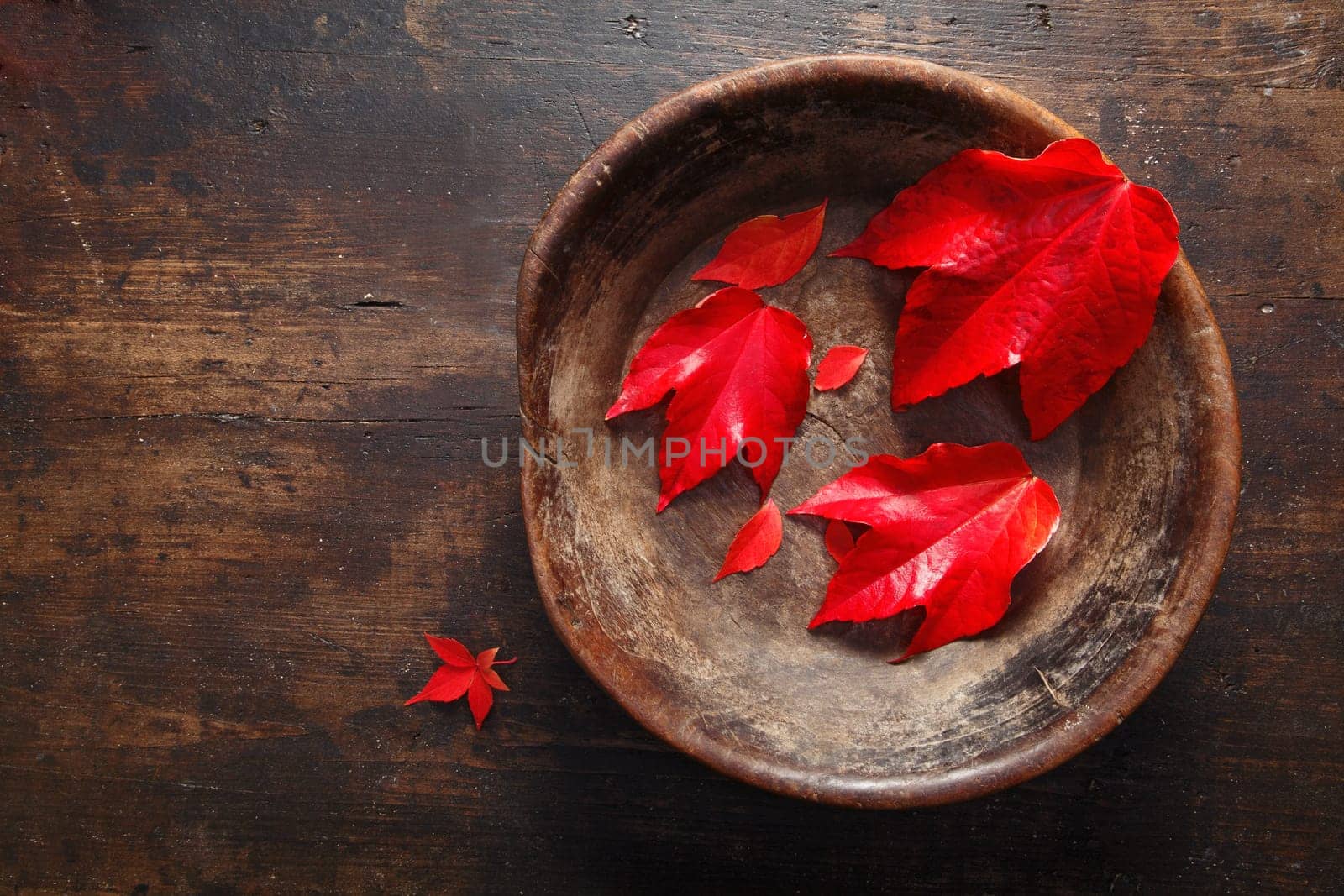 Beautiful deep red autumn leaves from a virgina creeper placed in a rustic pottery bowl on an old timber surface with copyspace