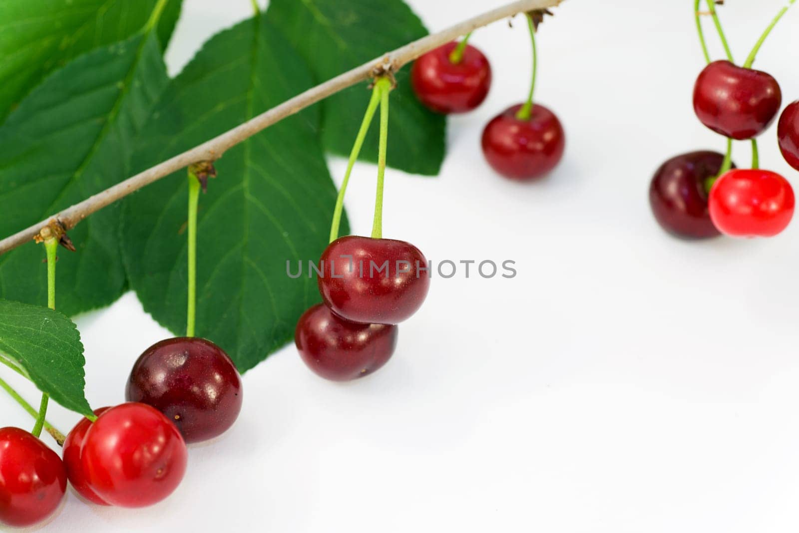 fruits