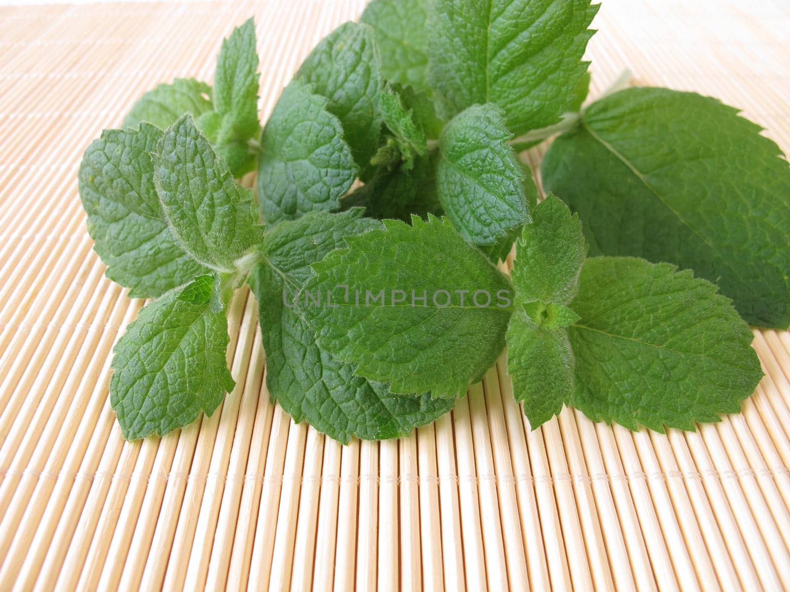 A bouquet of pineapple mint