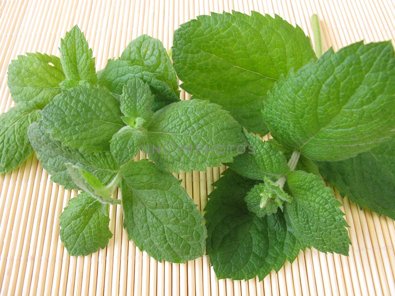 A bouquet of pineapple mint
