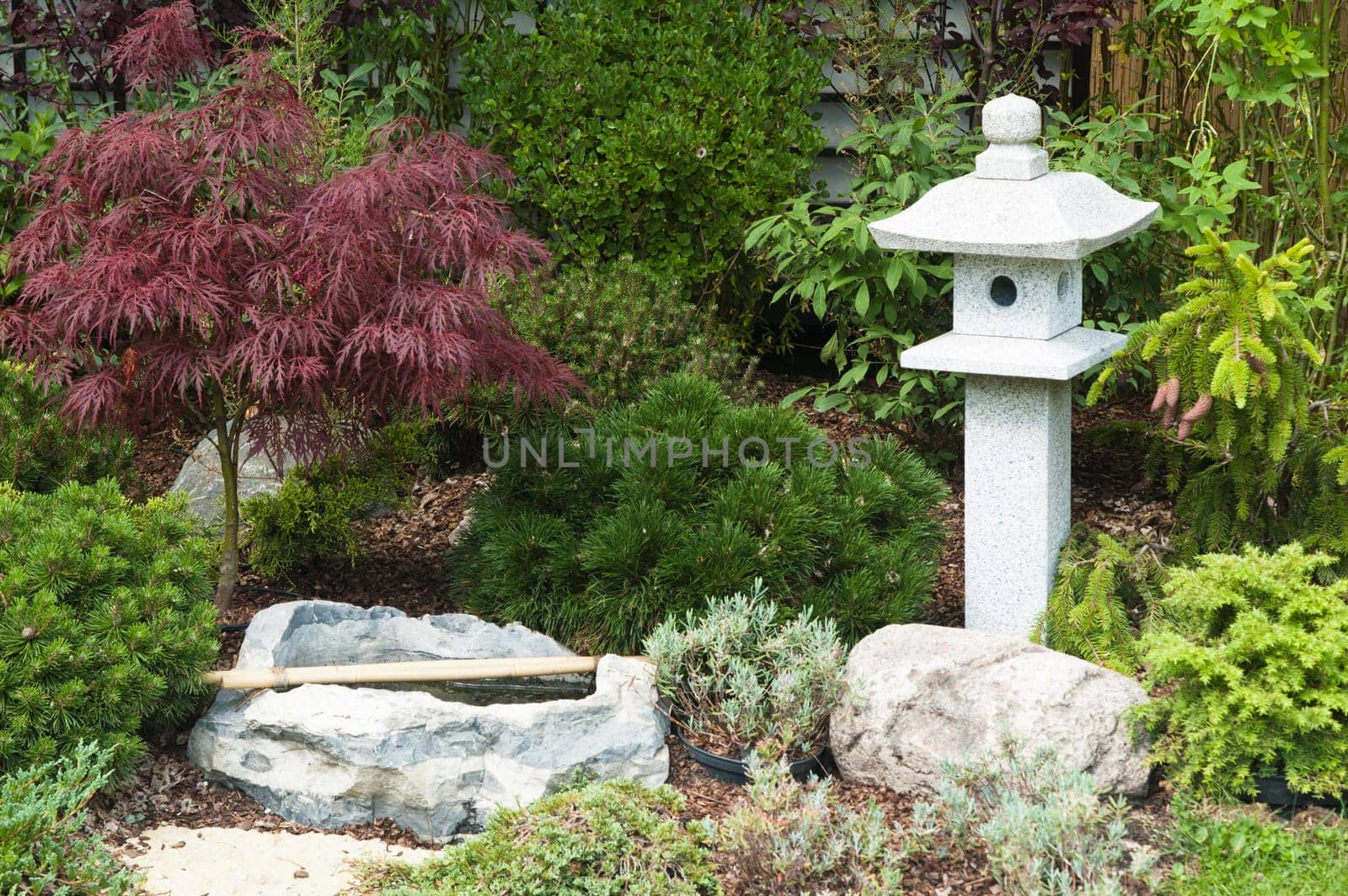 corner of the garden in Japanese style