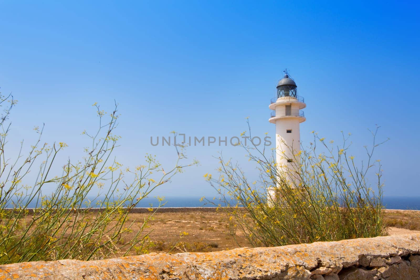 La Savina Sabina lighthouse in formentera at Balearic Islands