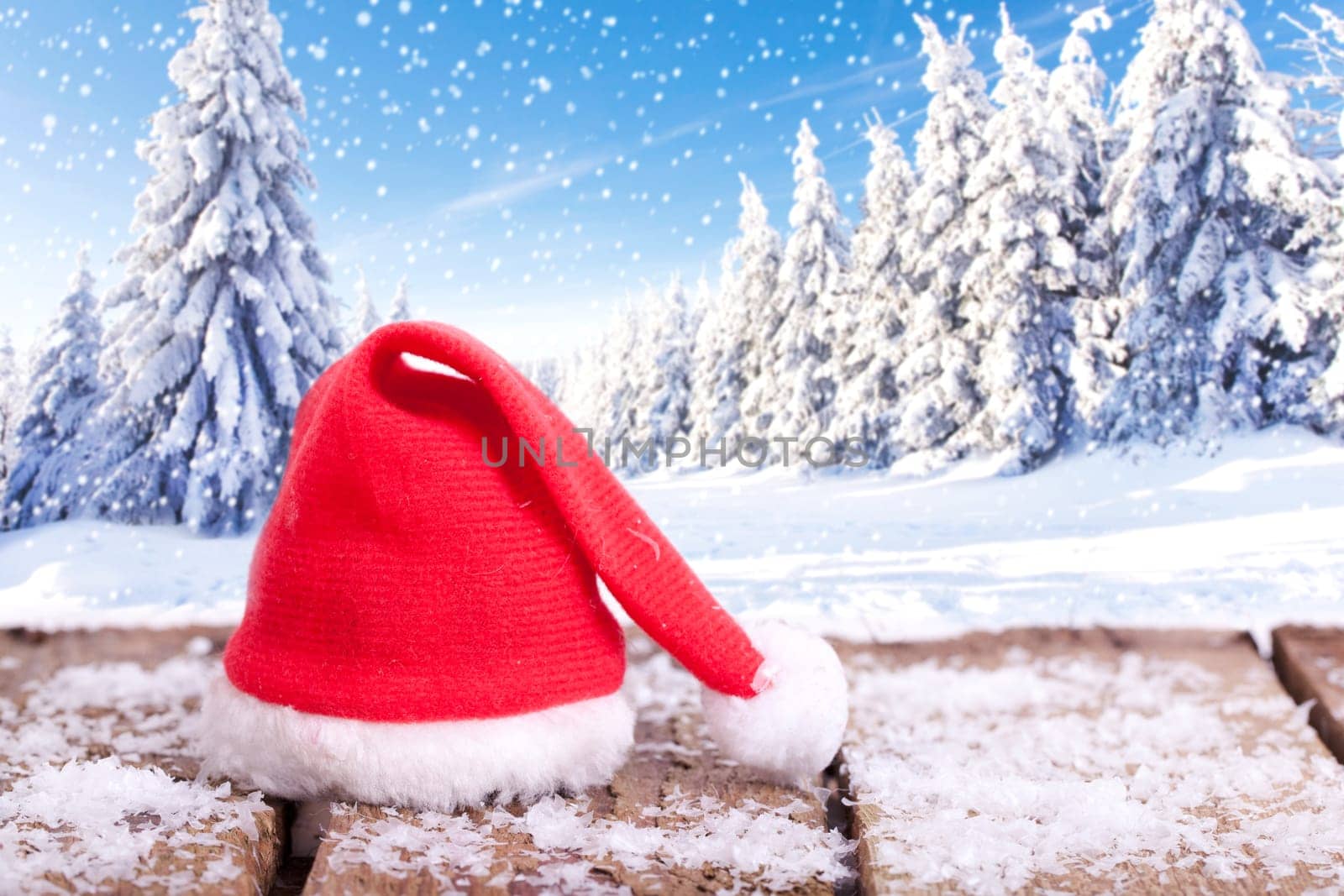 Winter forest and Christmas hat