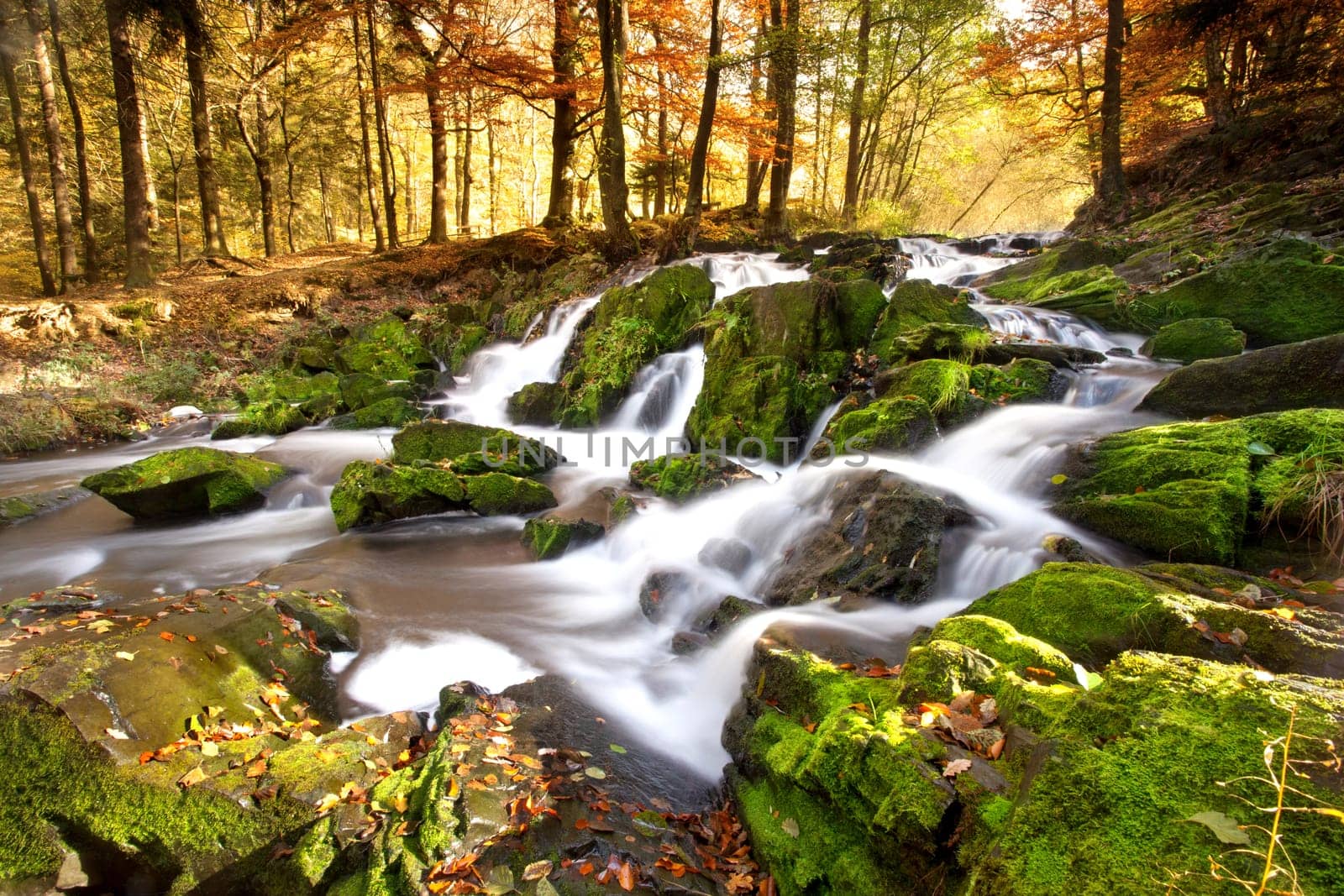 Waterfall in autumn light