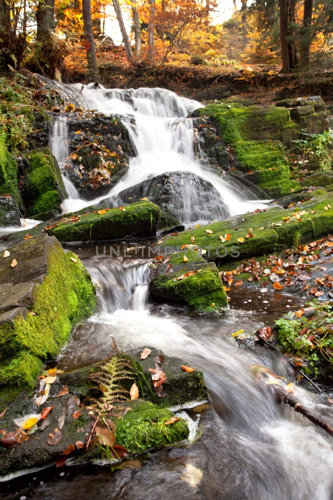 Waterfall in autumn light