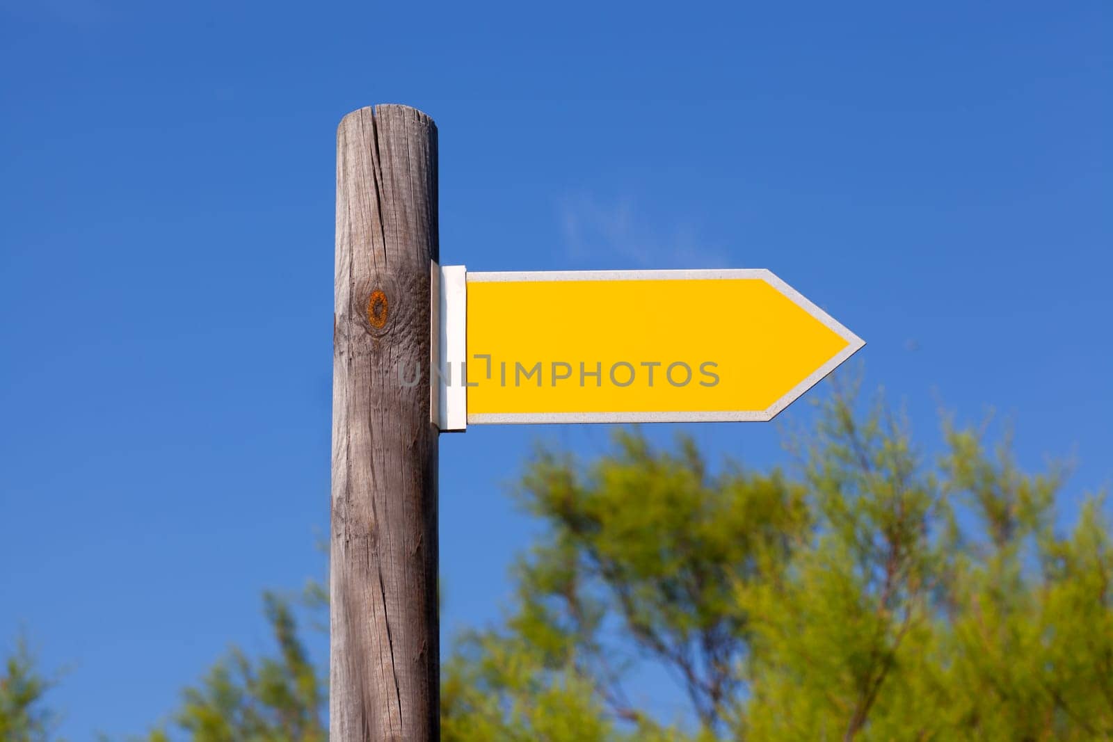 yellow copyspace arrow sign on wooden pole in a forest and blue sky